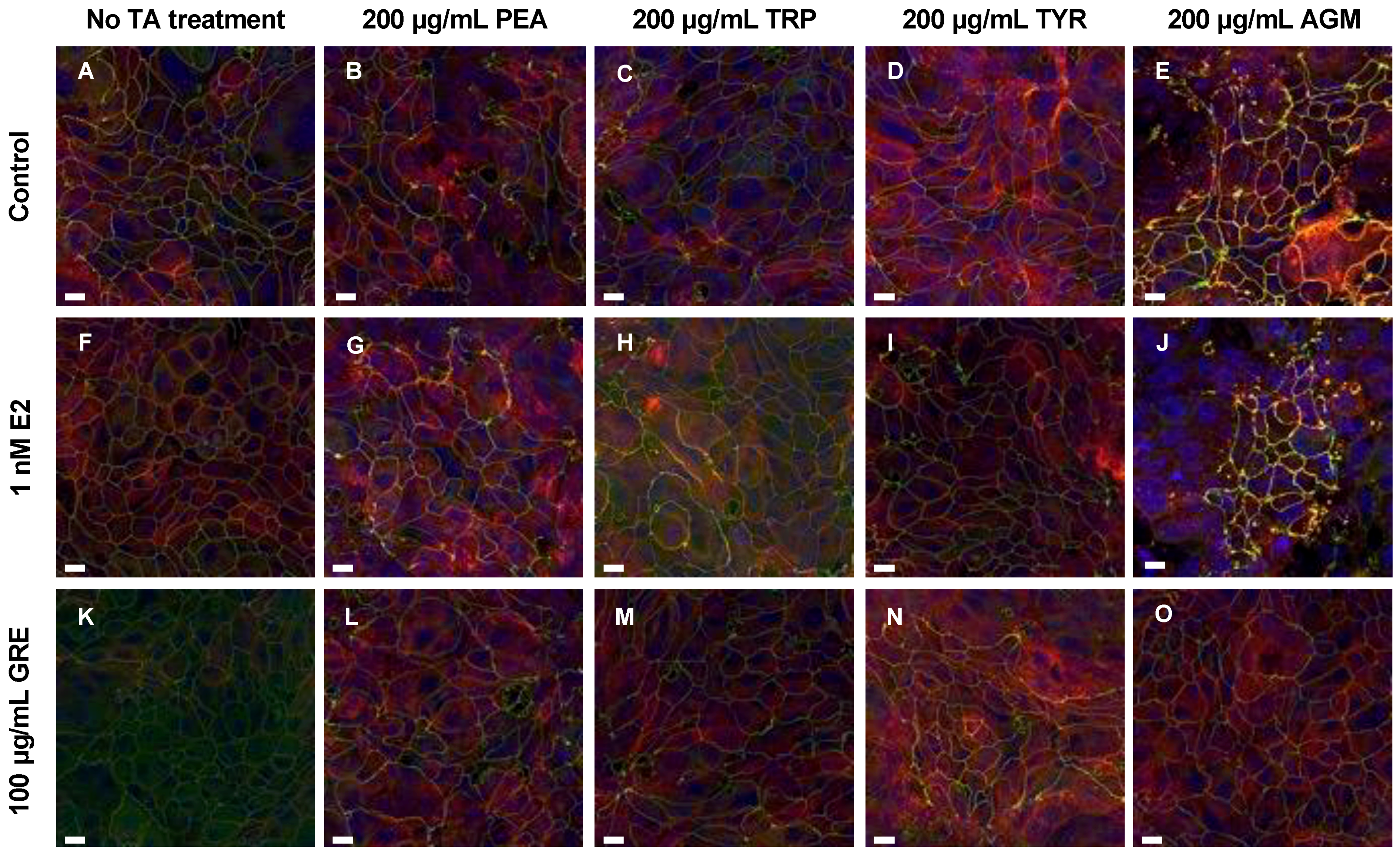Pharmaceuticals 15 01097 g002