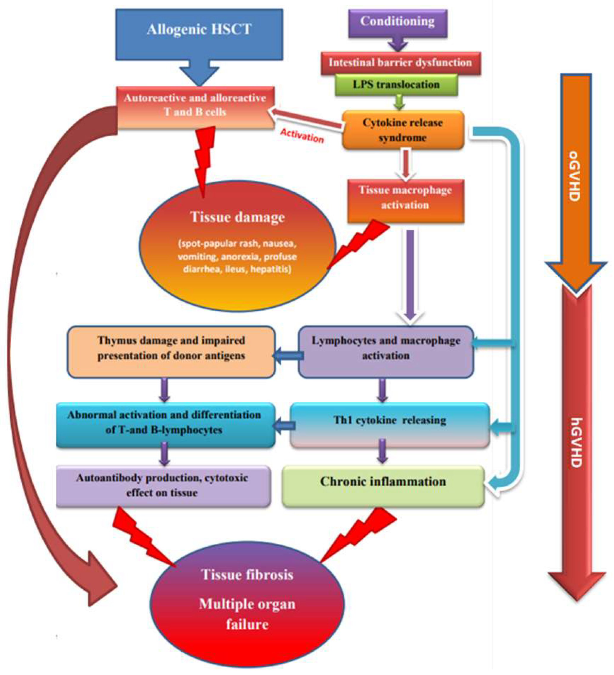 Pharmaceuticals 15 01100 g001