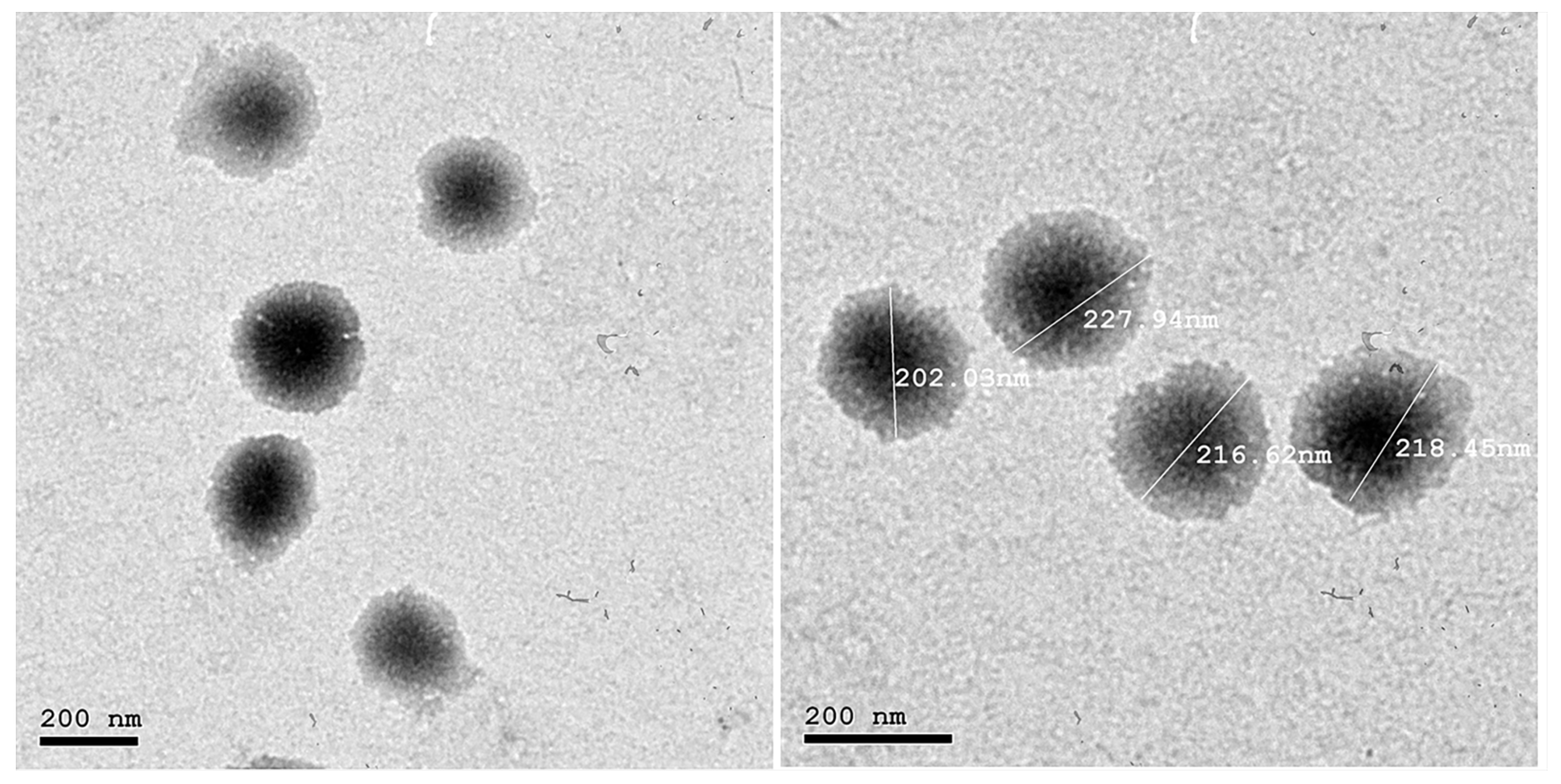 Pharmaceuticals 15 01106 g005