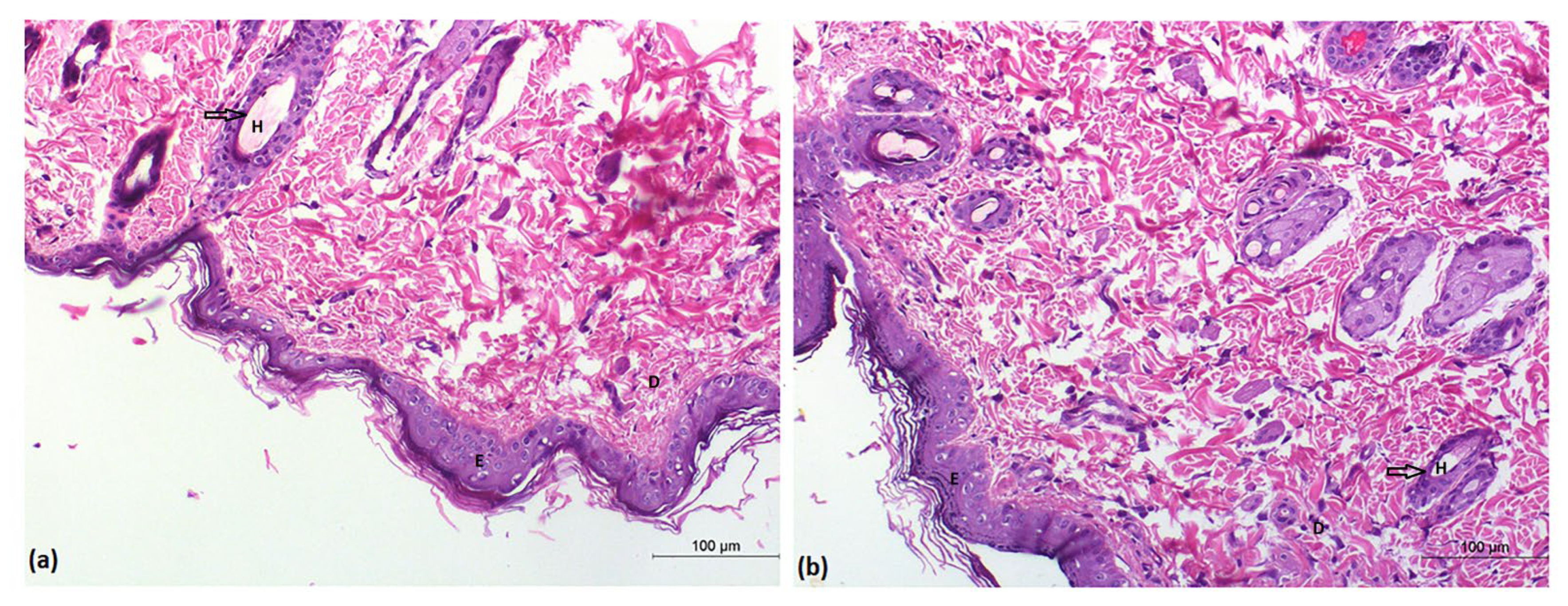 Pharmaceuticals 15 01106 g009