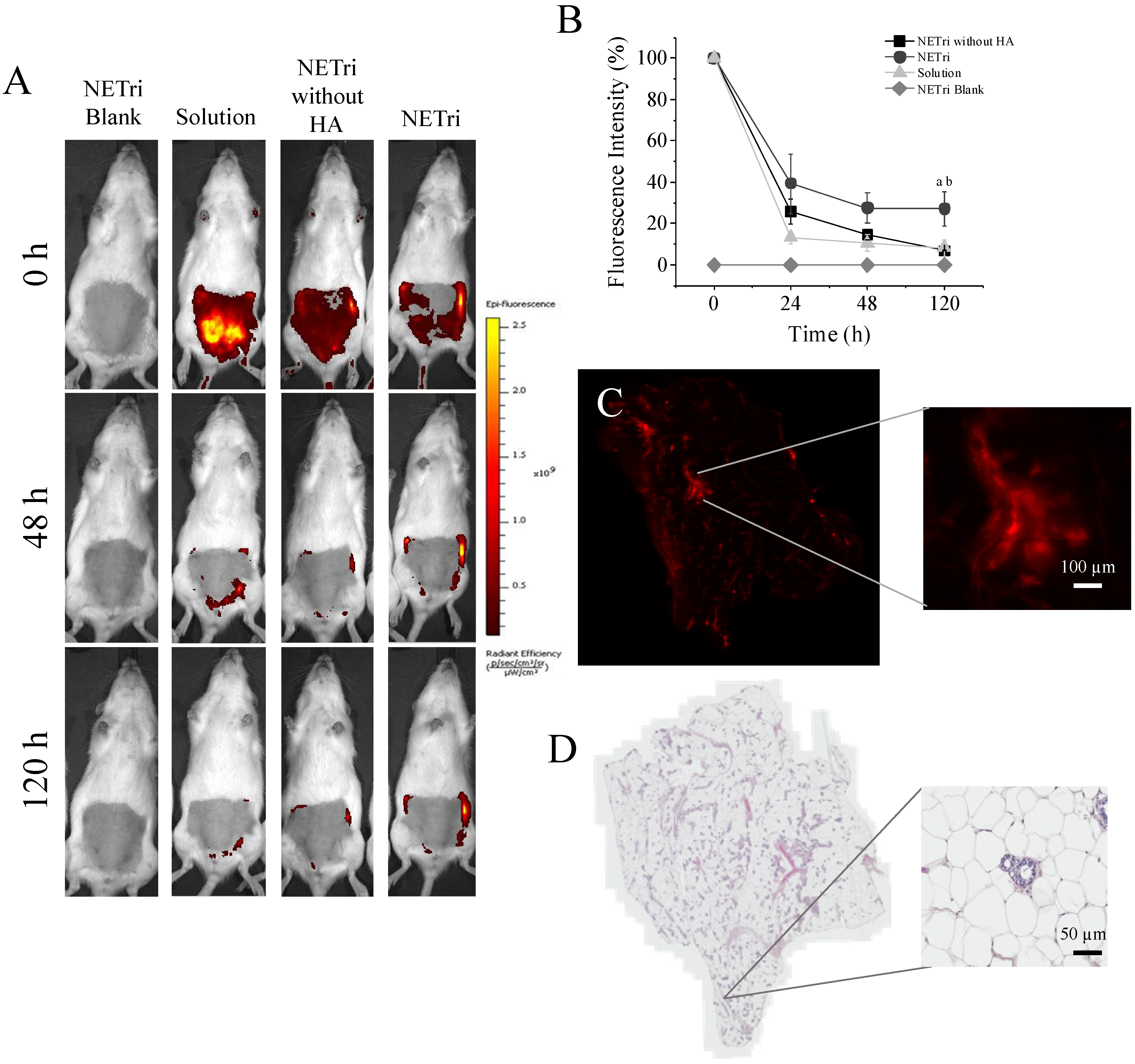 Pharmaceuticals 15 01110 g007