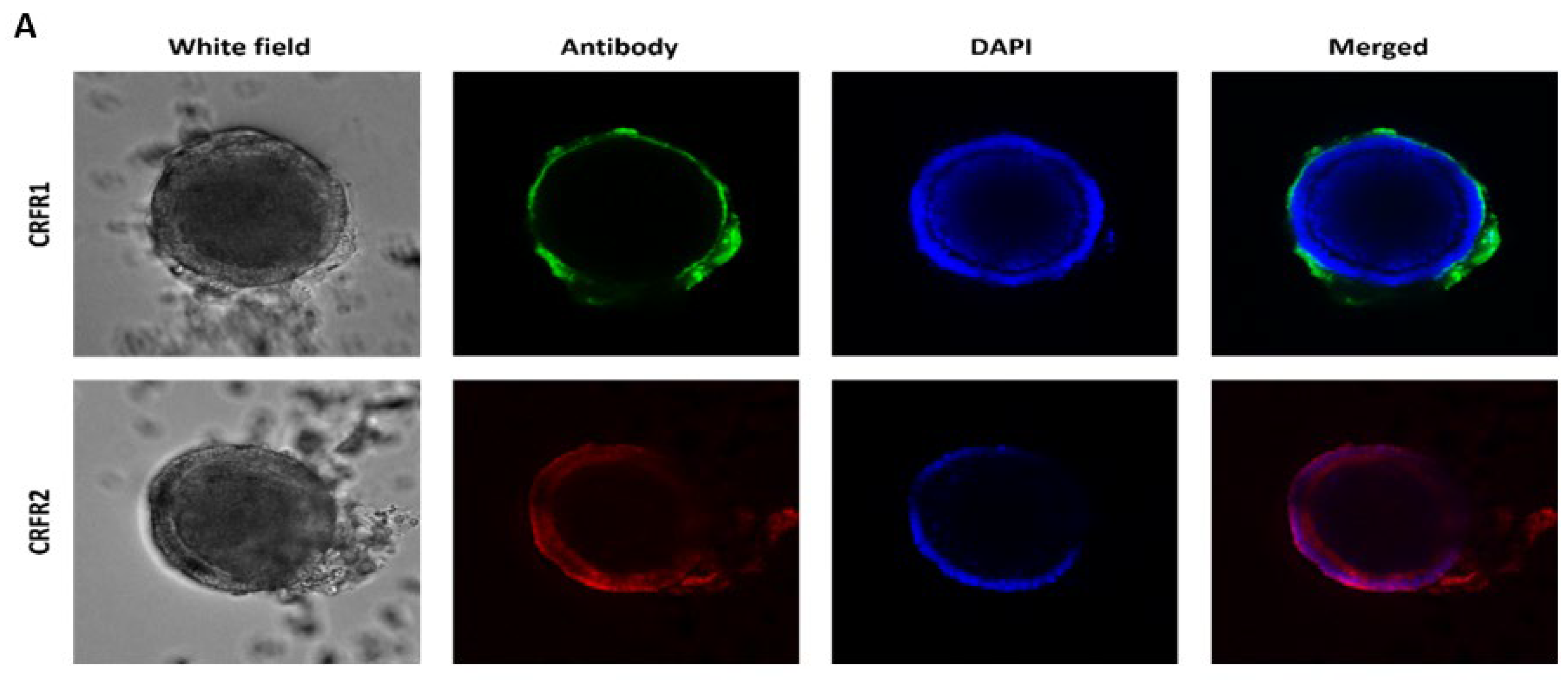 Pharmaceuticals 15 01121 g005a