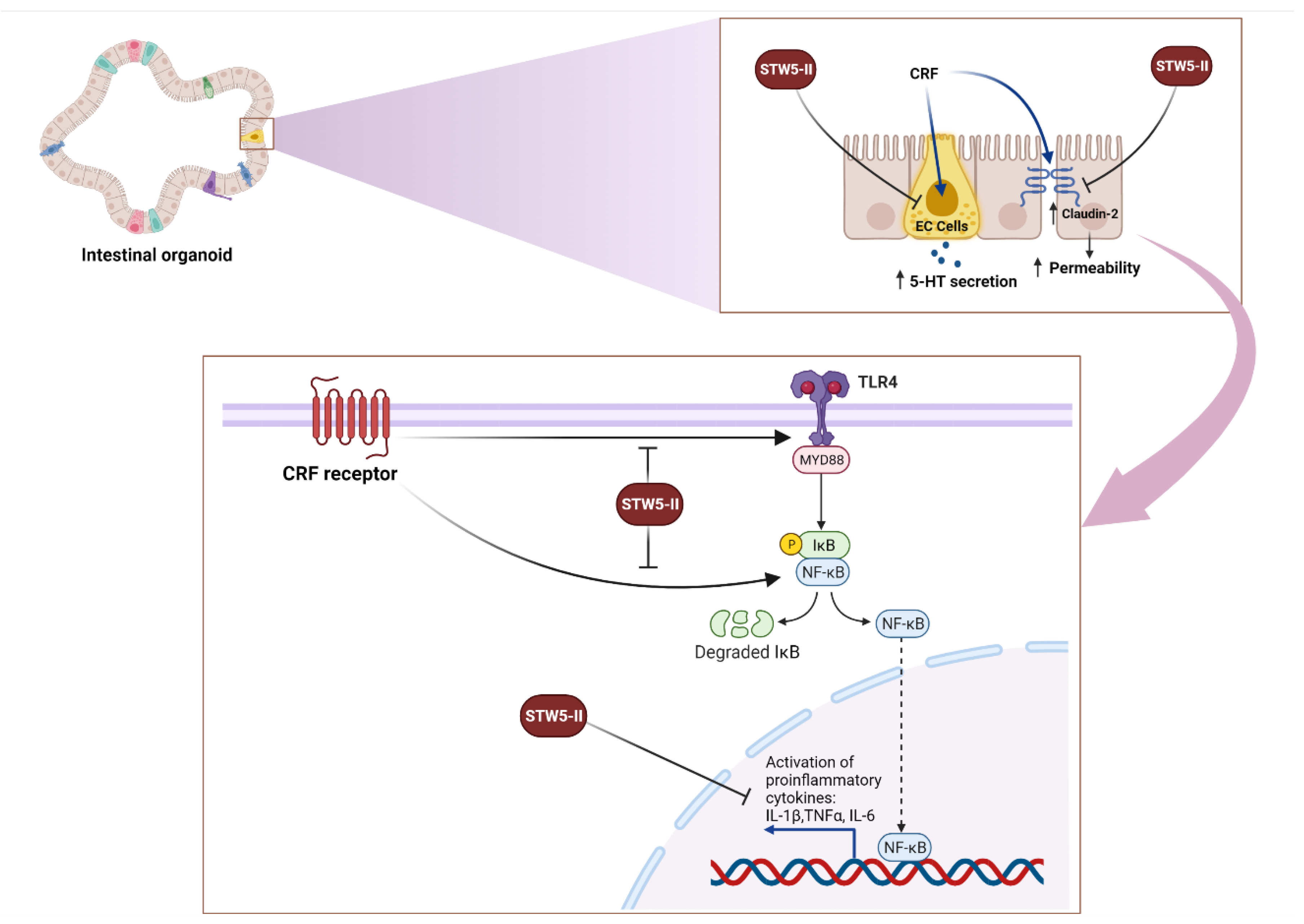 Pharmaceuticals 15 01121 g007