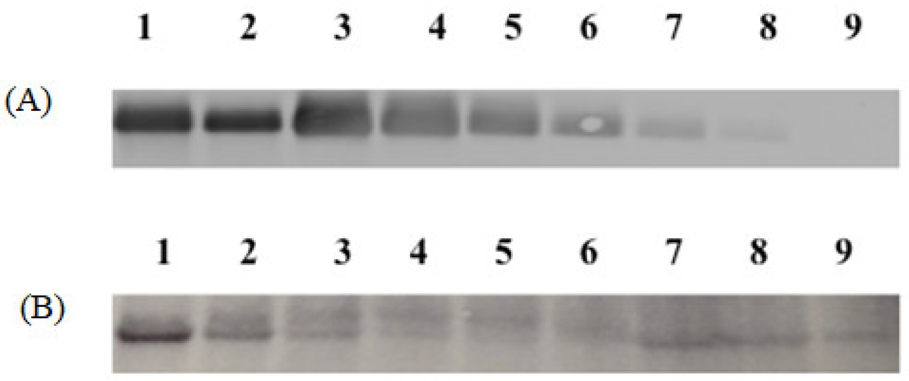 Pharmaceuticals 15 01128 g004