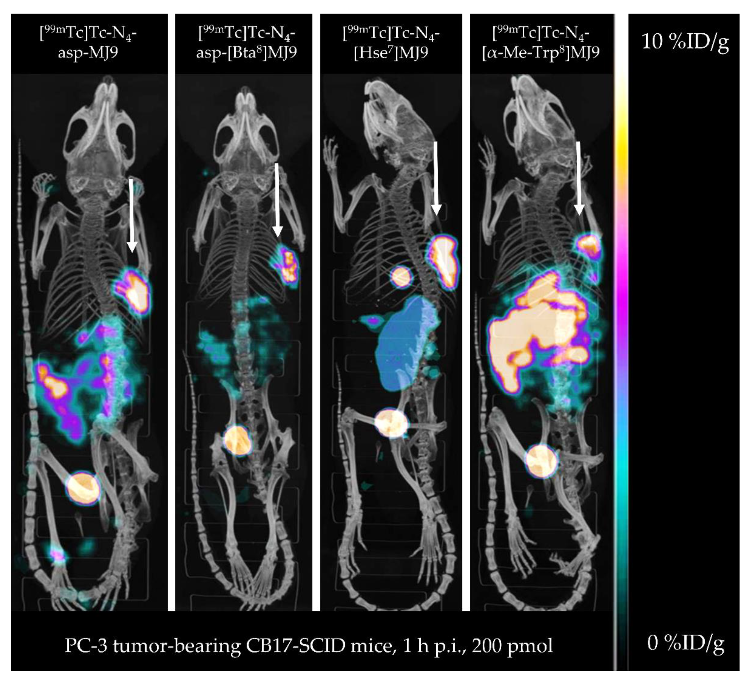 Pharmaceuticals 15 01133 g004