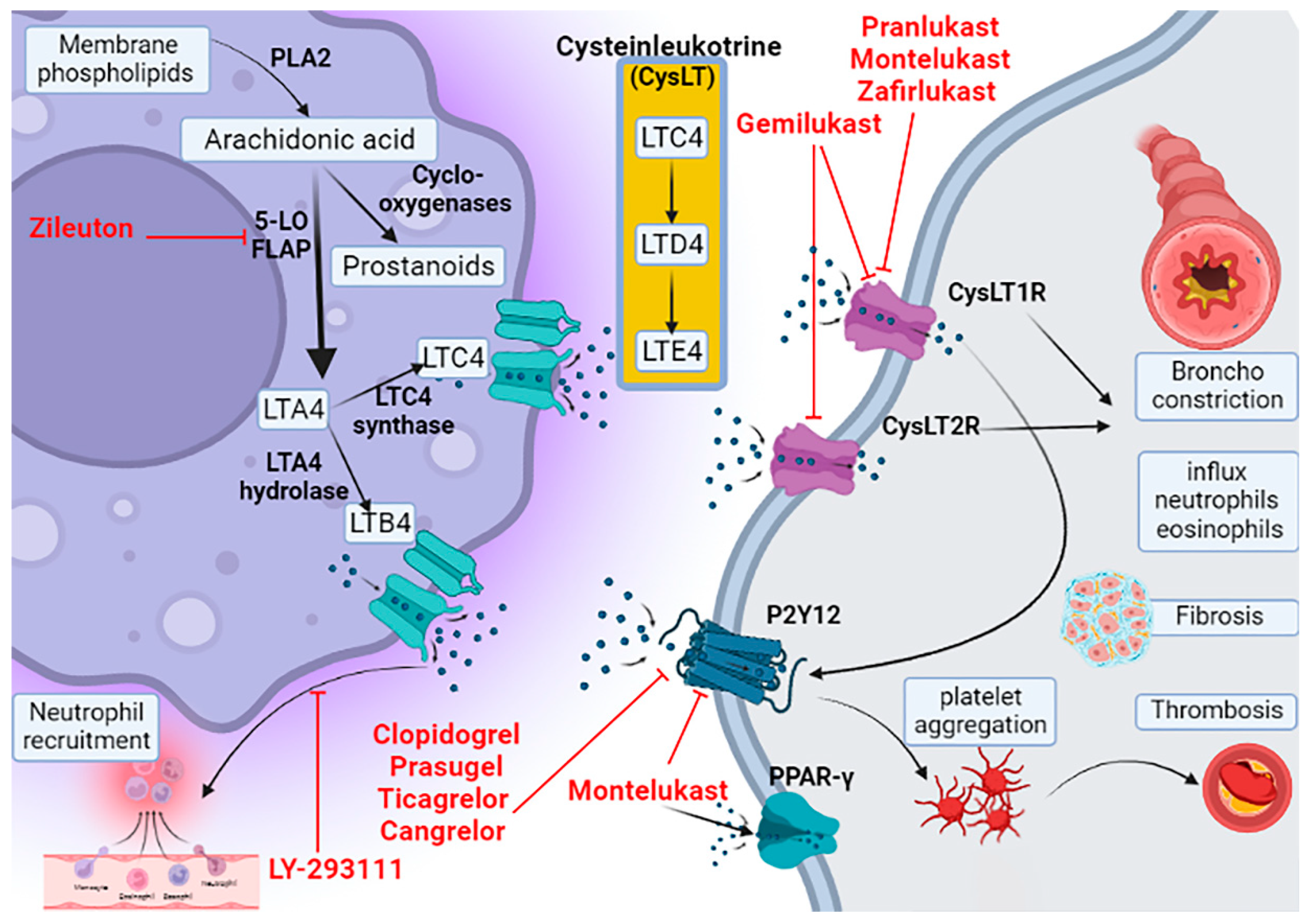 Pharmaceuticals 15 01147 g001