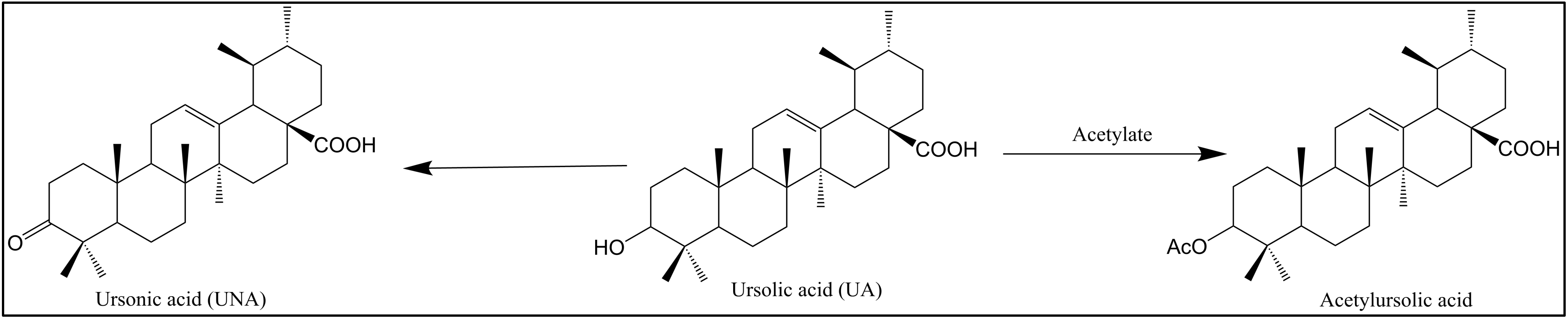 Pharmaceuticals 15 01169 g004 Pharmaceuticals 15 01169 g004