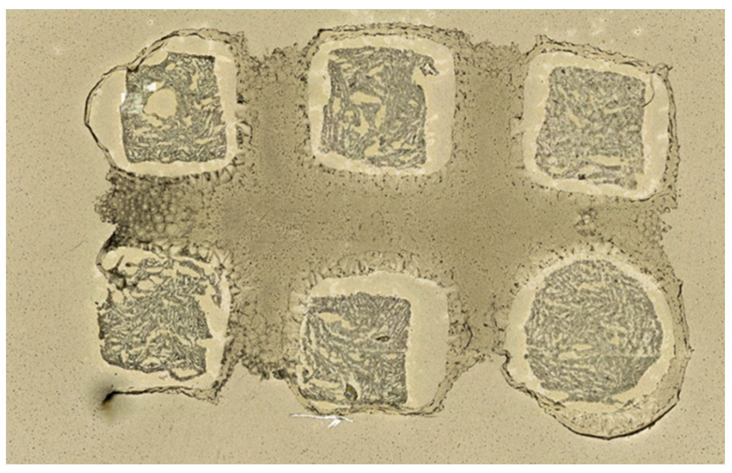 Pharmaceuticals 15 01180 g002