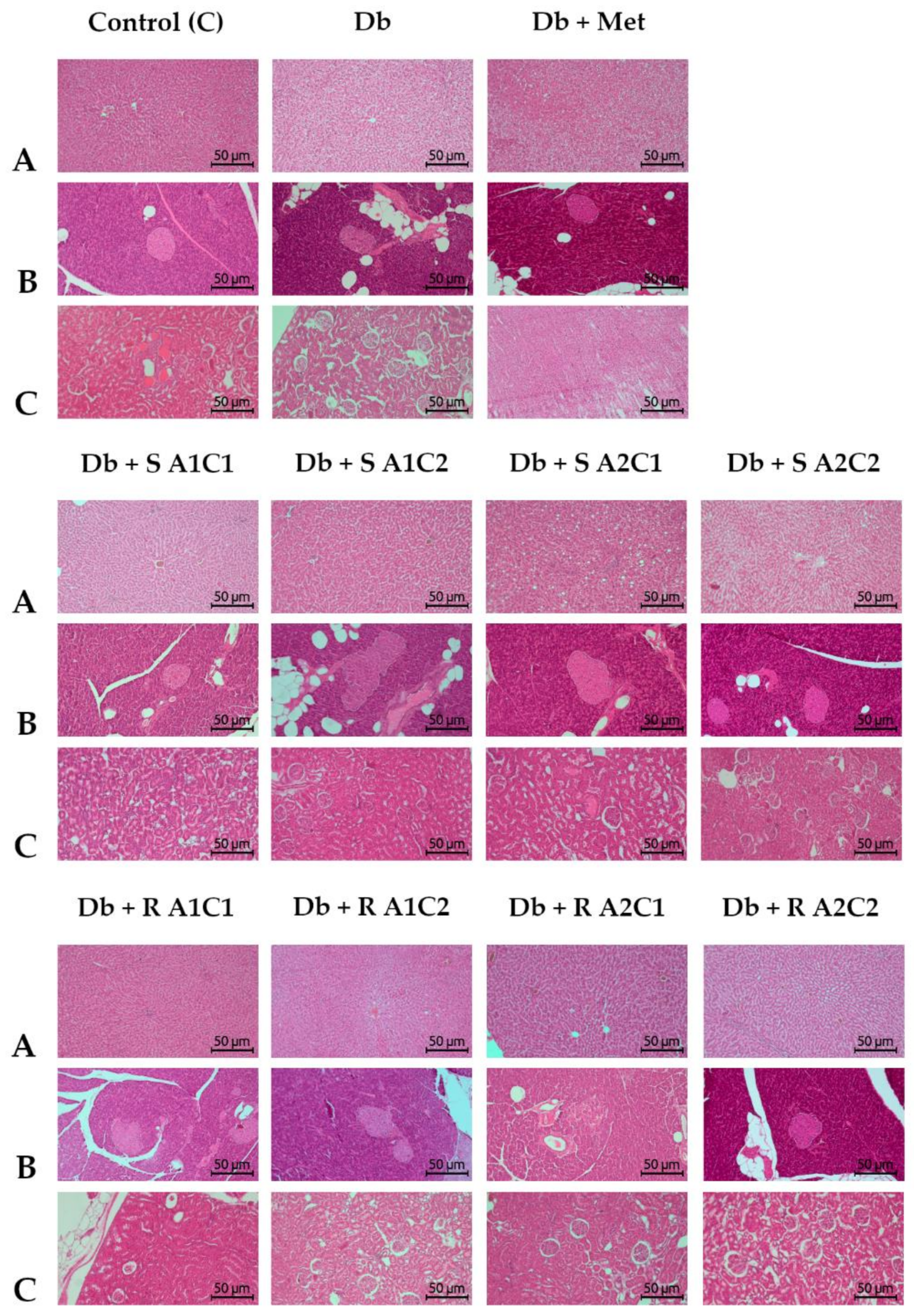 Pharmaceuticals 15 01200 g002