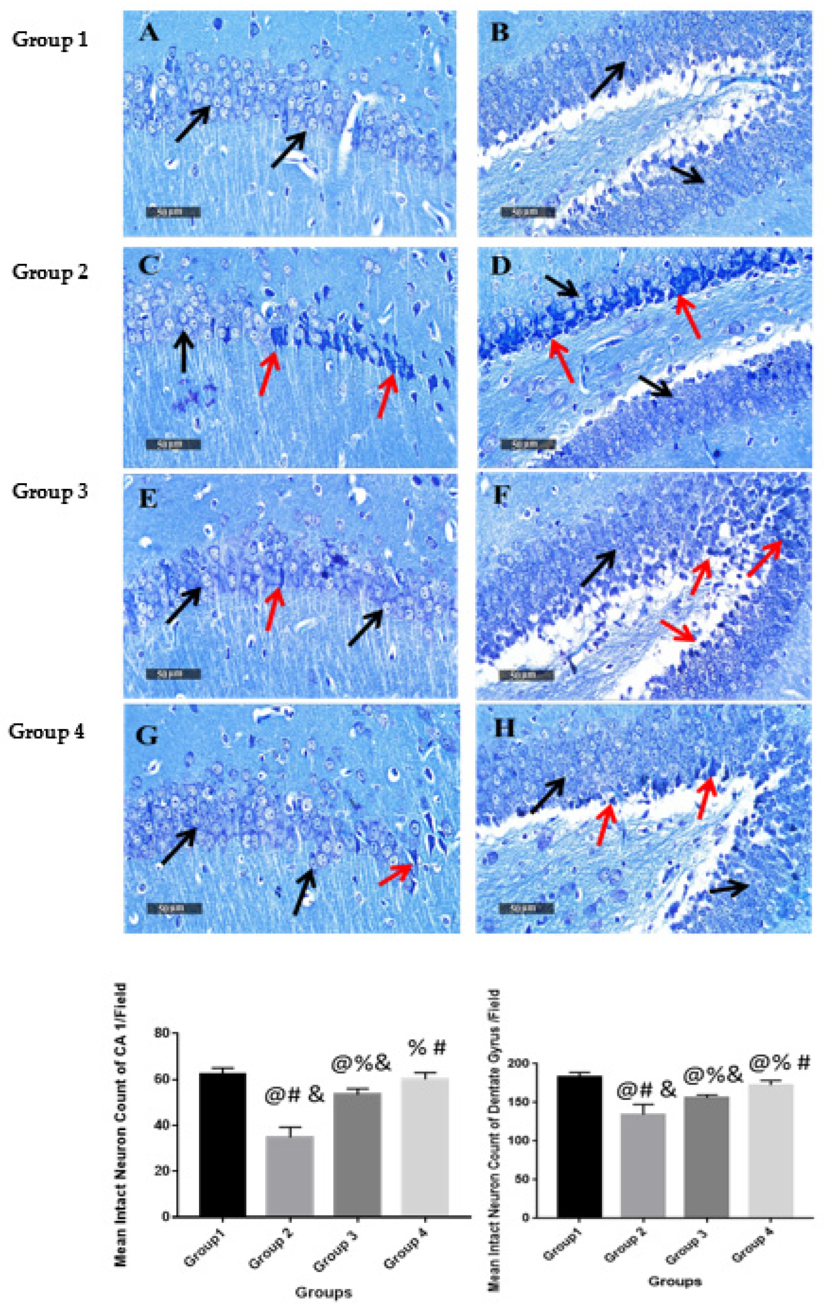 Pharmaceuticals 15 01202 g007