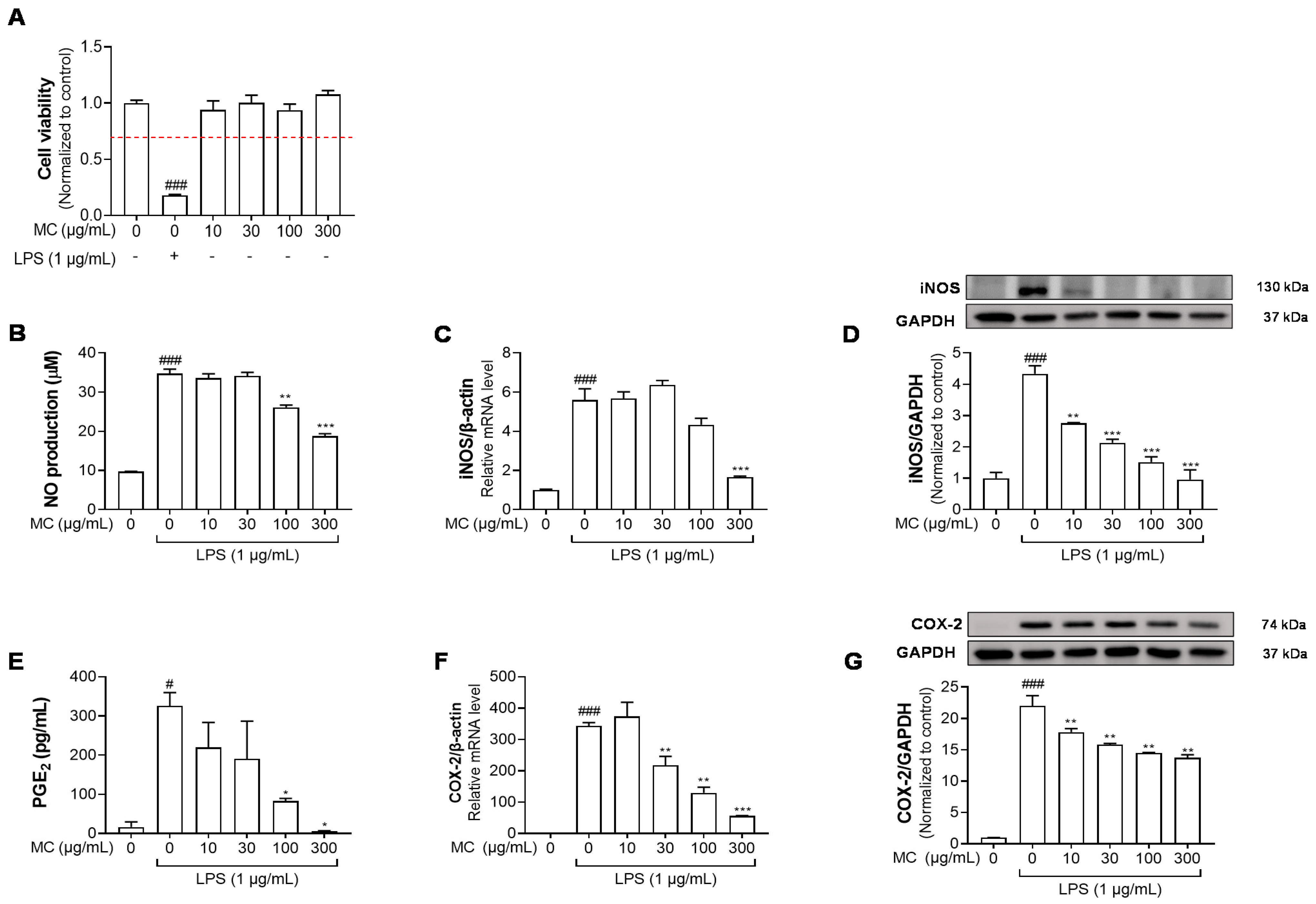Pharmaceuticals 15 01217 g002