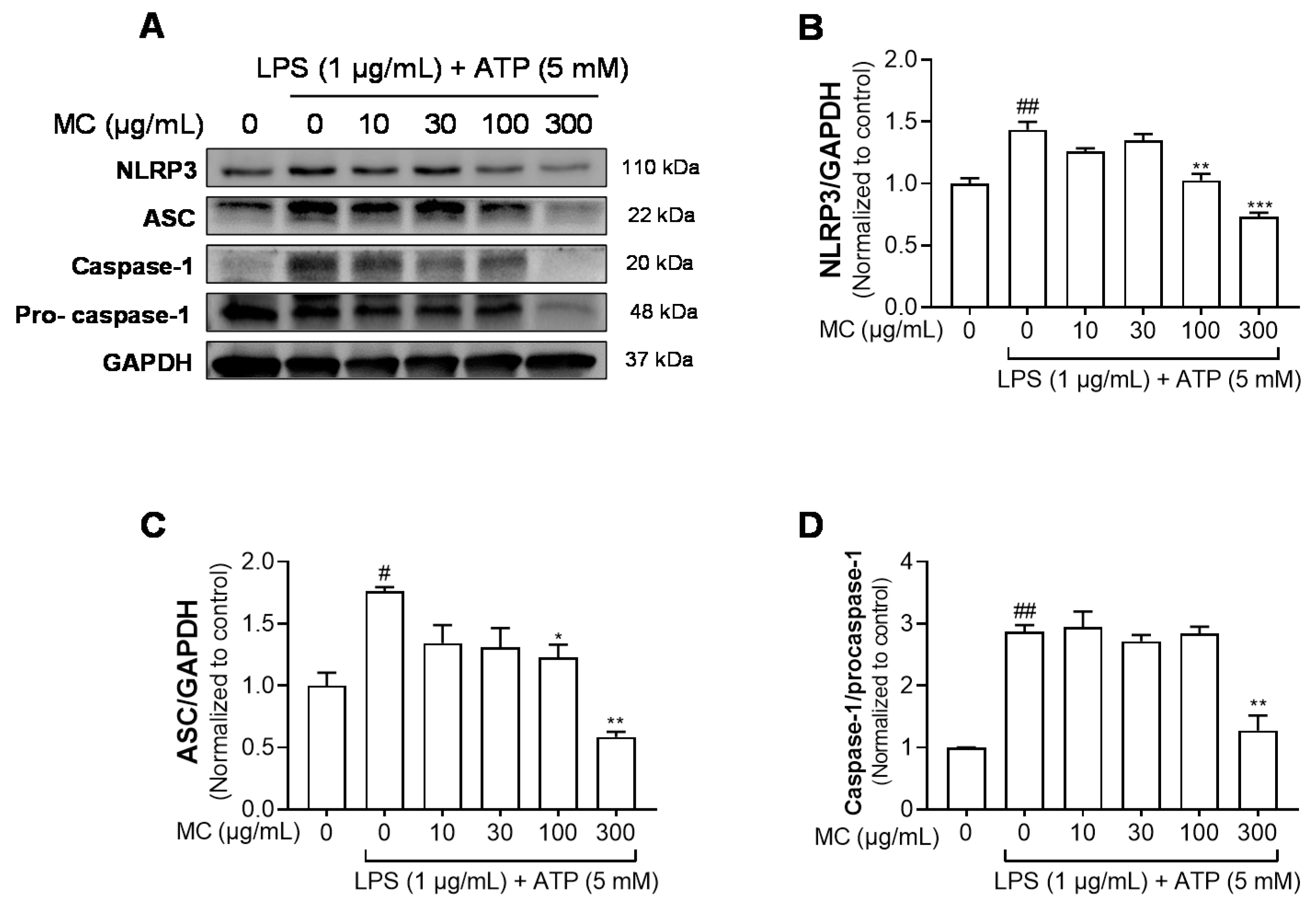 Pharmaceuticals 15 01217 g004