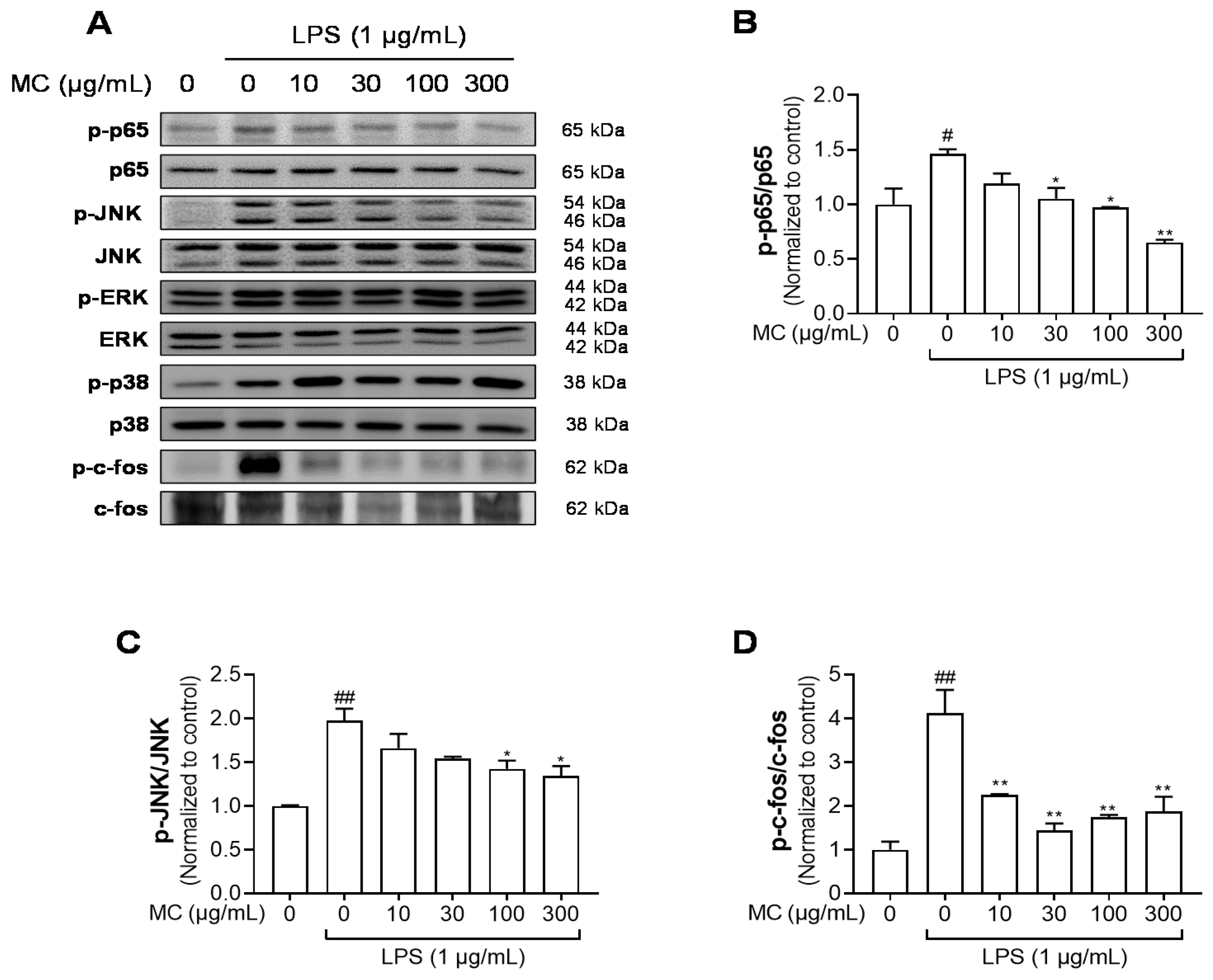 Pharmaceuticals 15 01217 g005
