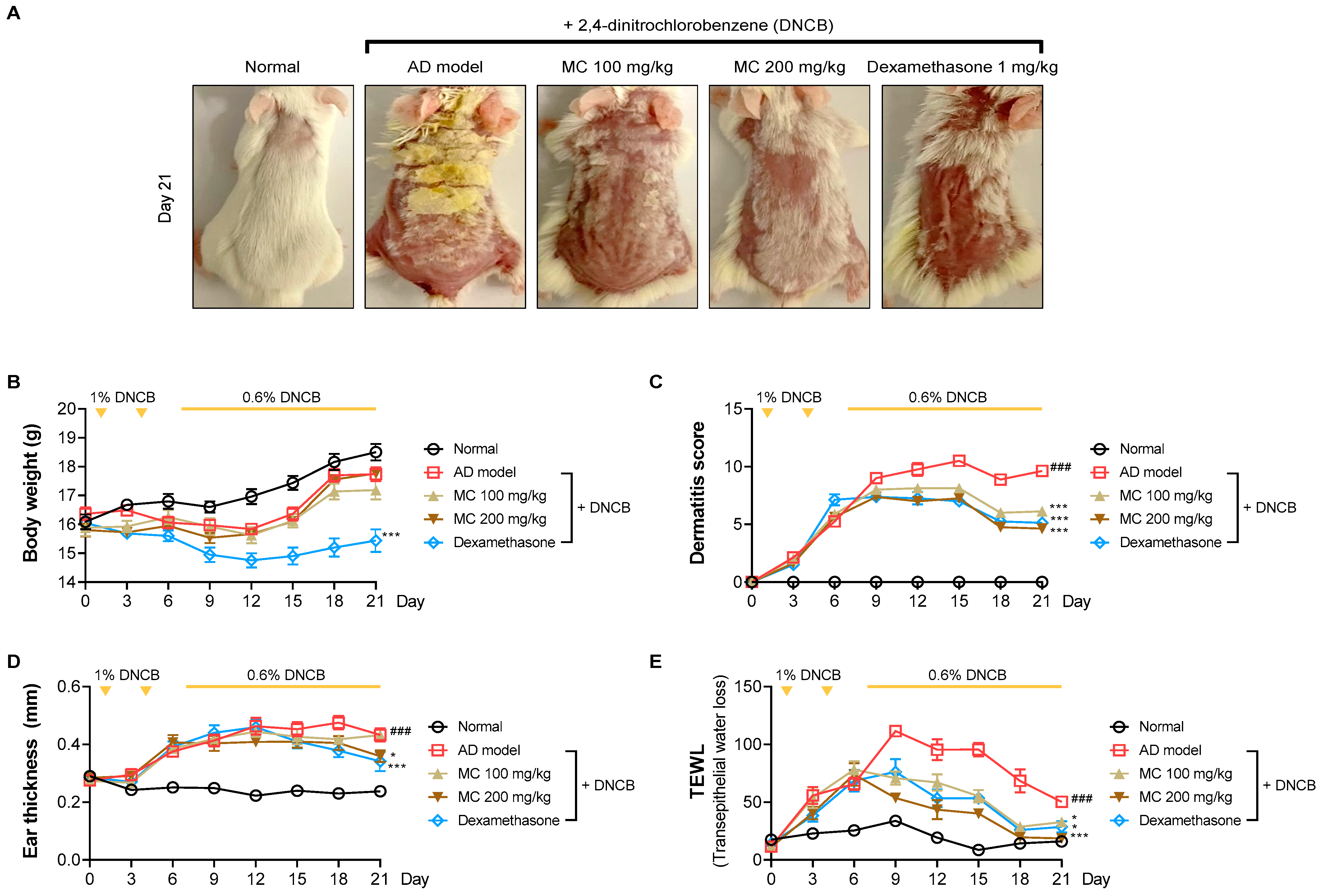 Pharmaceuticals 15 01217 g006