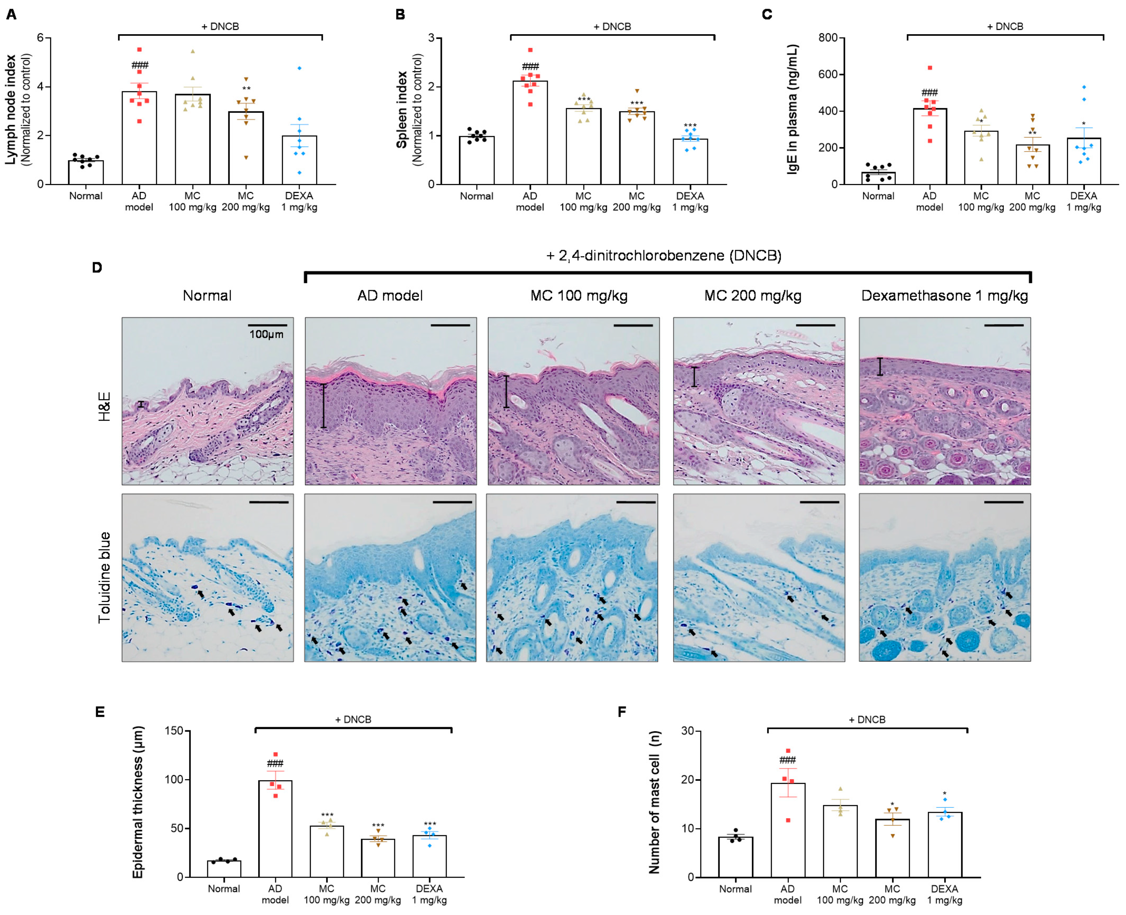 Pharmaceuticals 15 01217 g007