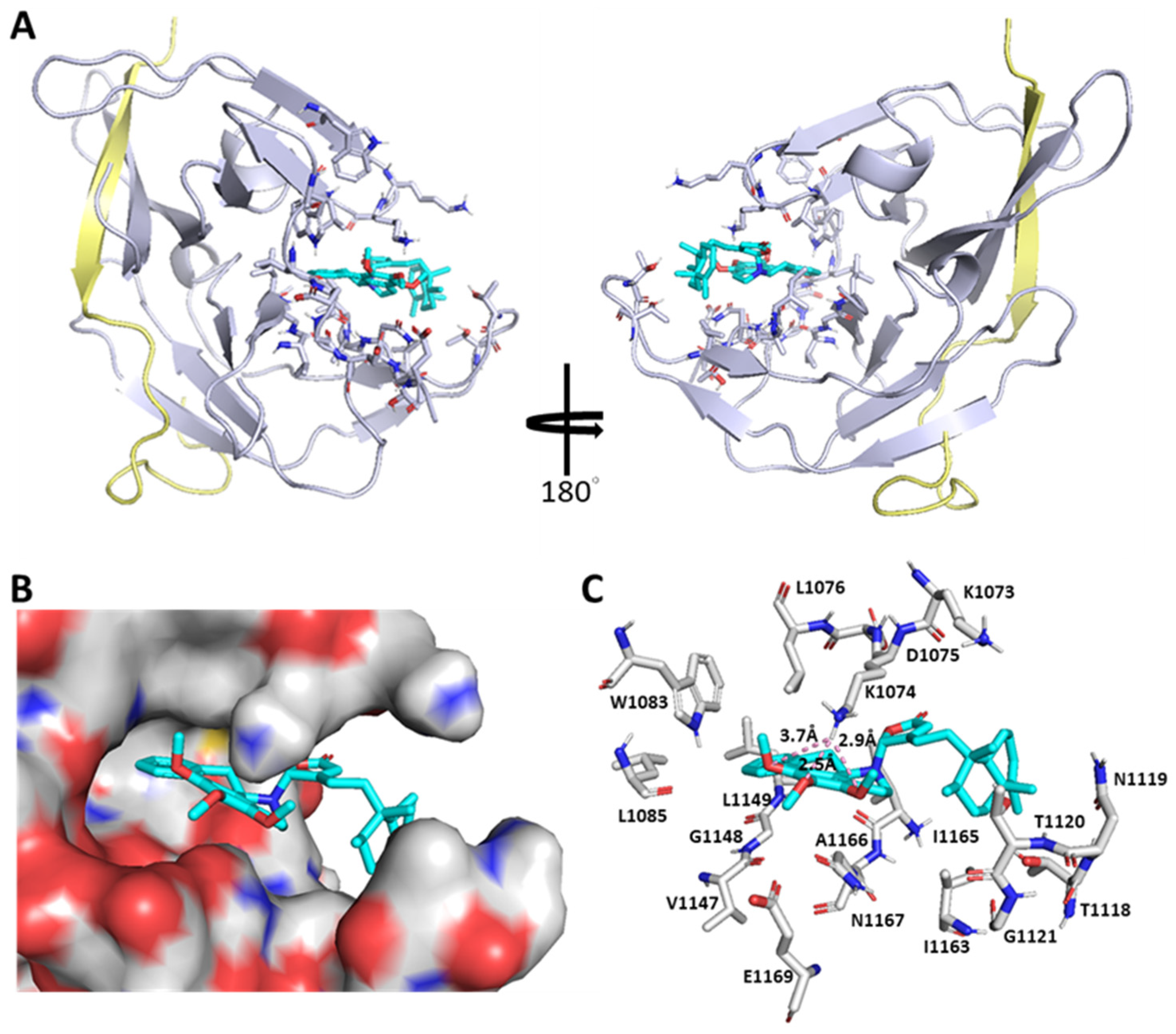 Pharmaceuticals 15 01218 g006