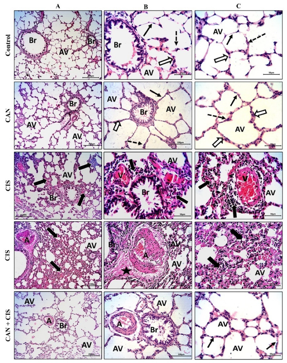 Pharmaceuticals 15 01222 g001