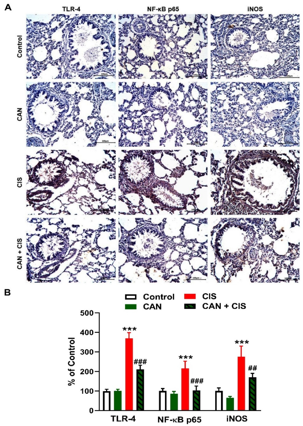 Pharmaceuticals 15 01222 g003