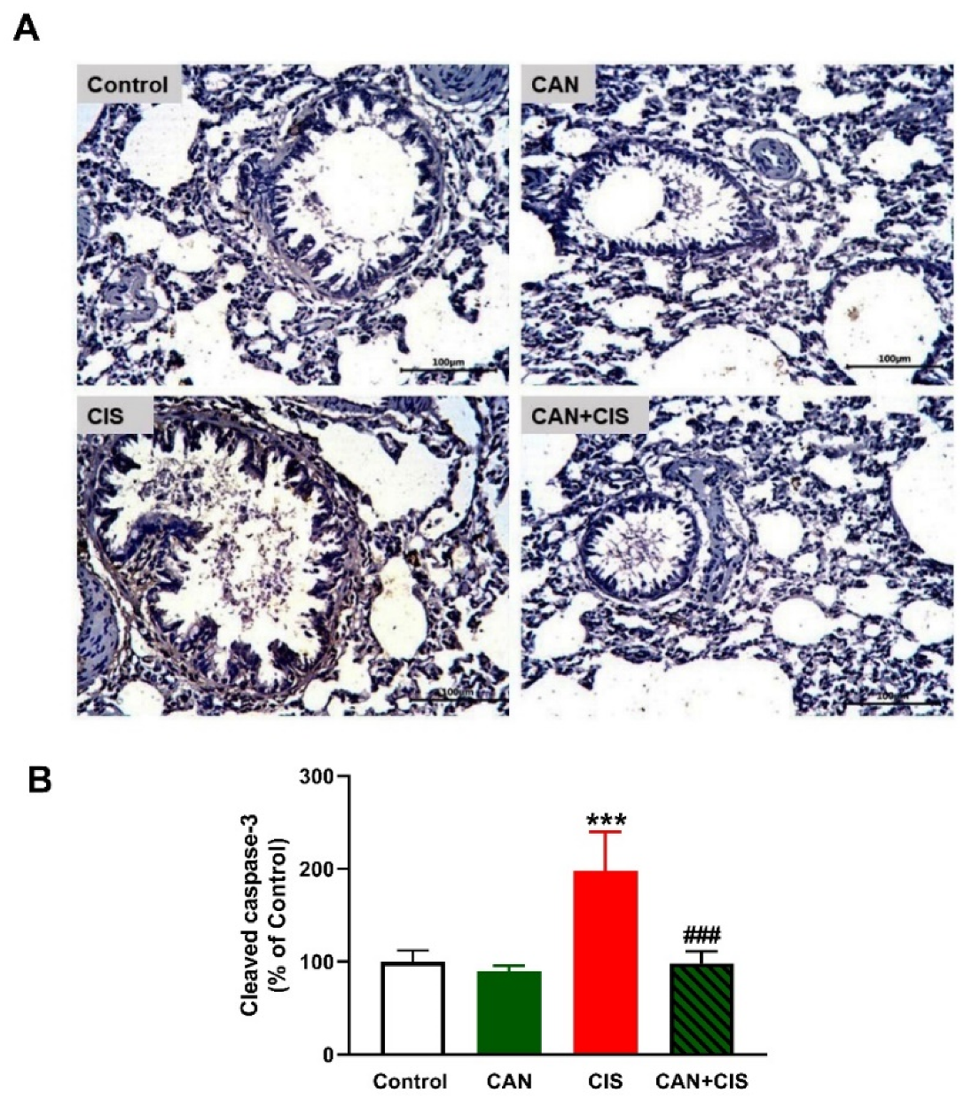 Pharmaceuticals 15 01222 g005