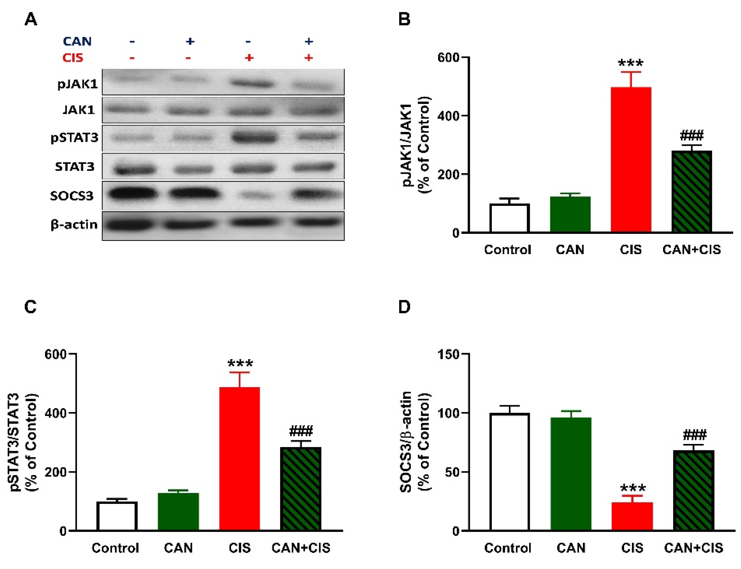 Pharmaceuticals 15 01222 g007