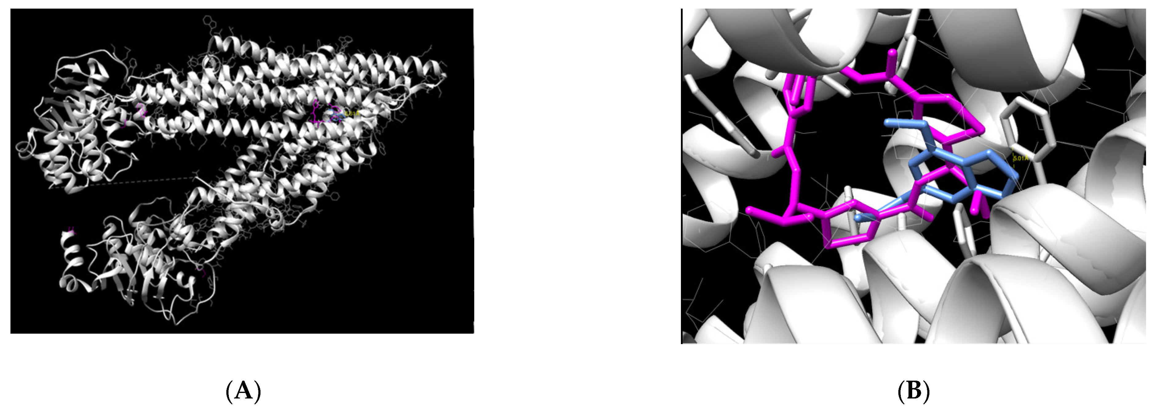 Pharmaceuticals 15 01233 g006