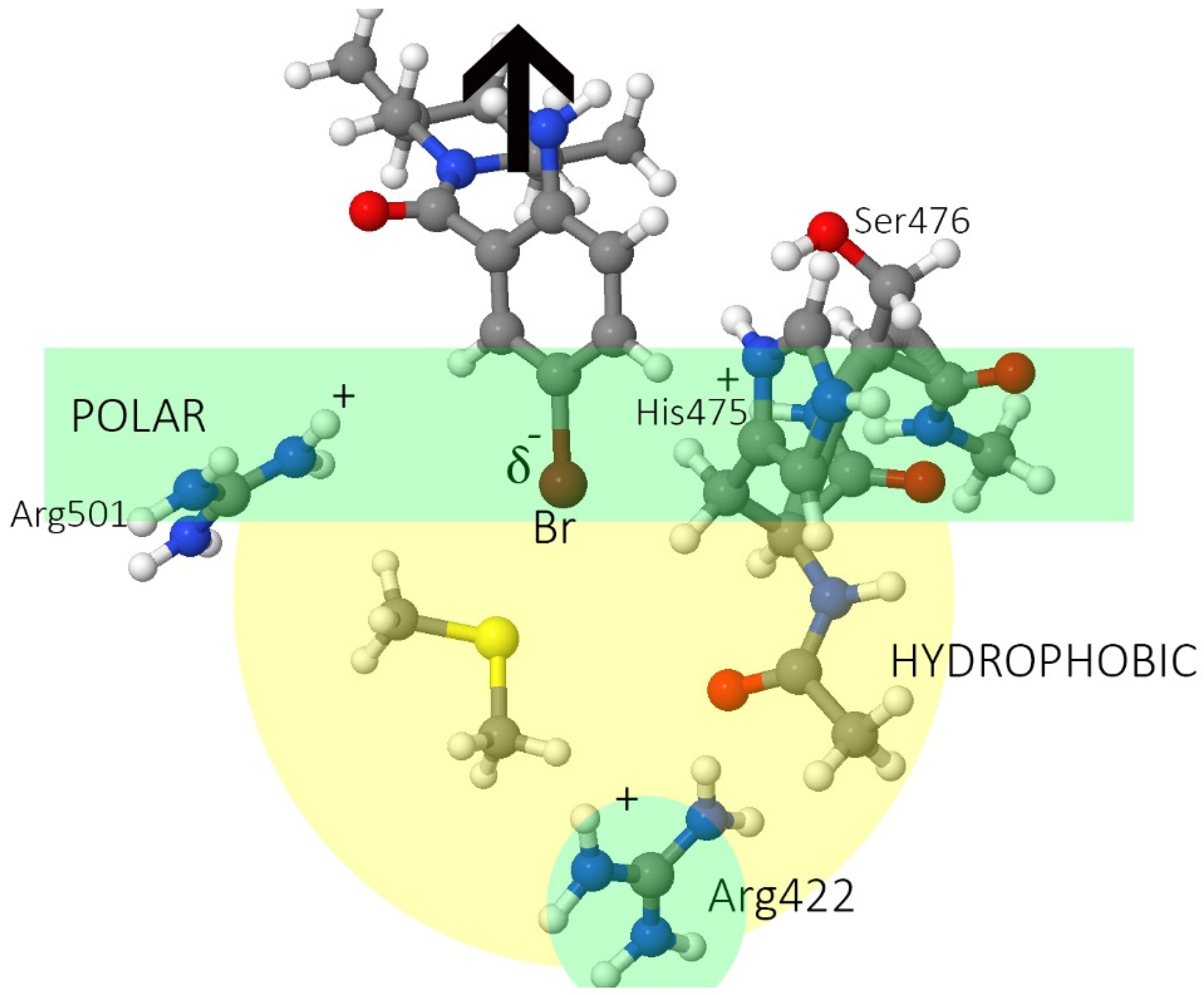 Pharmaceuticals 15 01237 g006