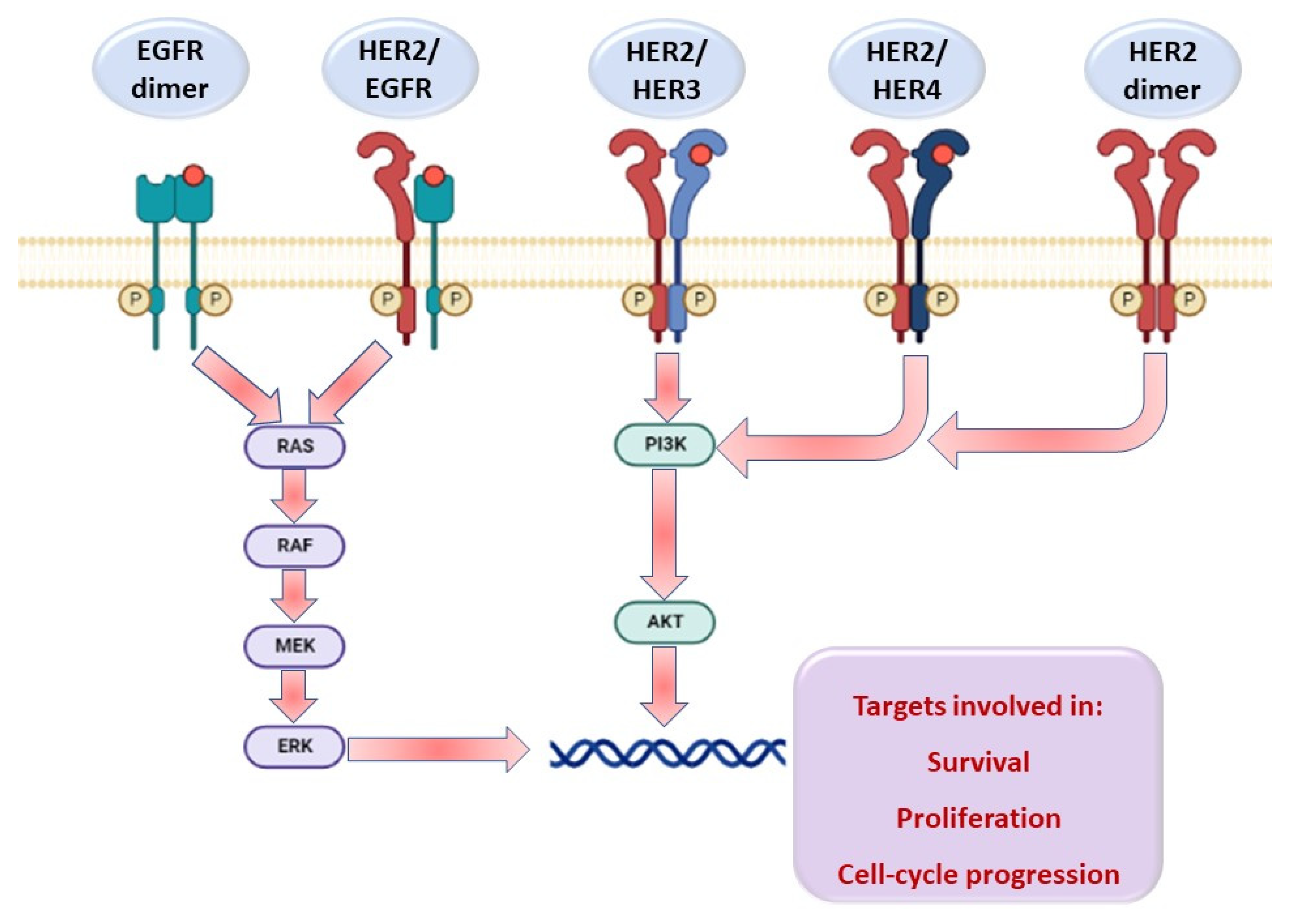 Pharmaceuticals 15 01245 g001