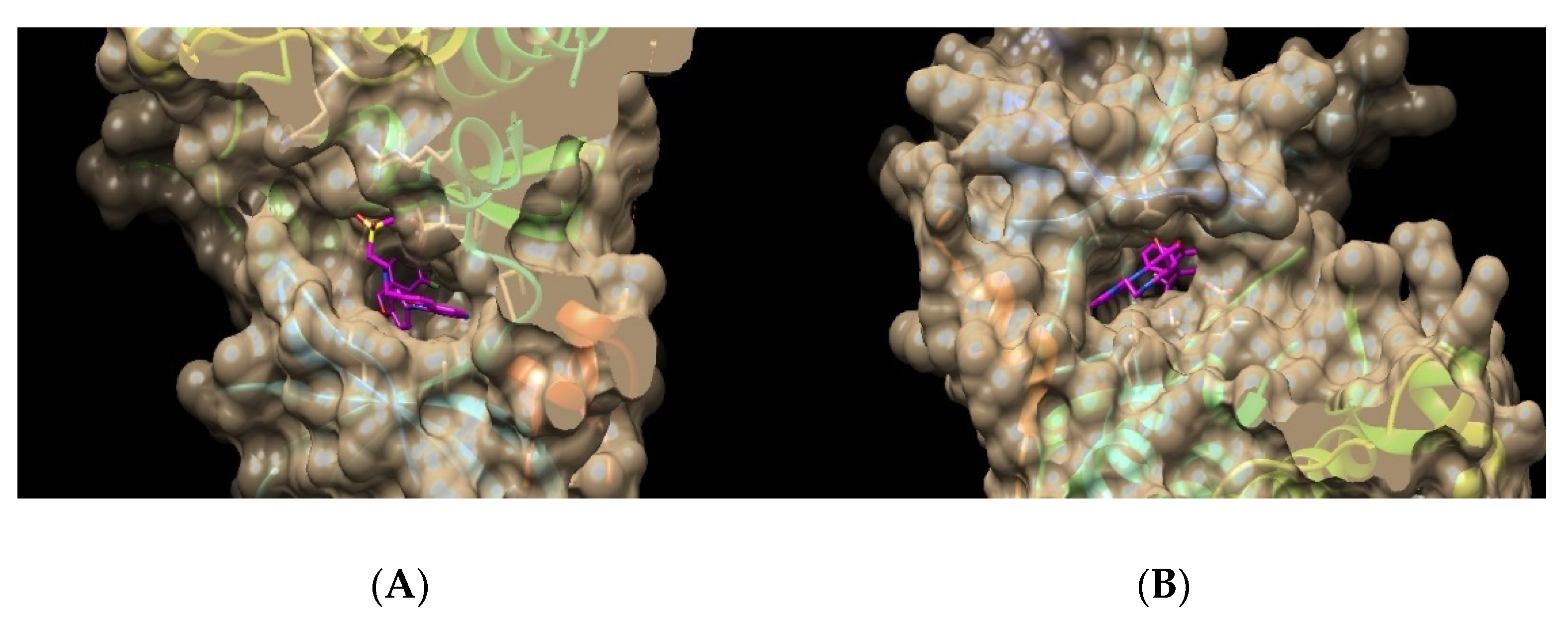 Pharmaceuticals 15 01245 g009