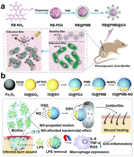 Pharmaceuticals 15 01253 g011