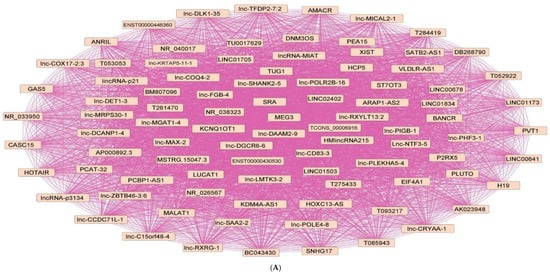Pharmaceuticals 15 01269 g003a Pharmaceuticals 15 01269 g003a