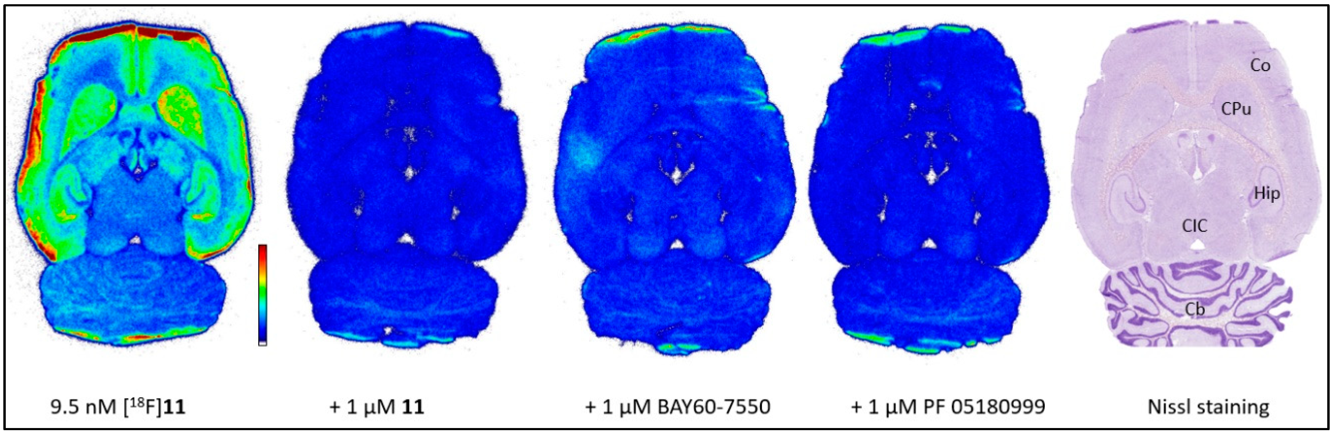 Pharmaceuticals 15 01272 g002