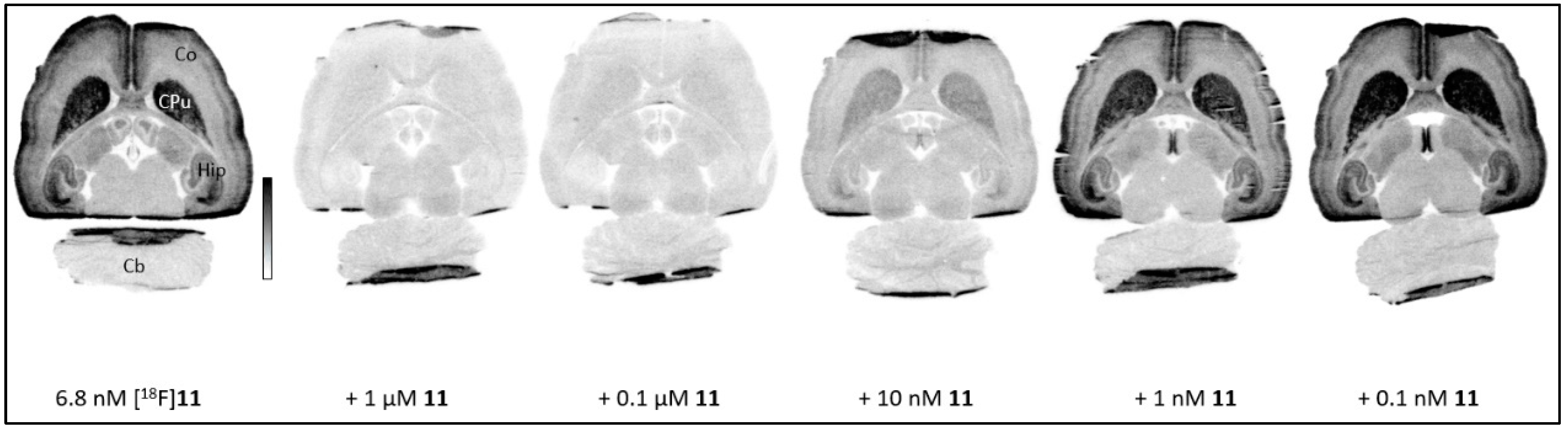 Pharmaceuticals 15 01272 g003