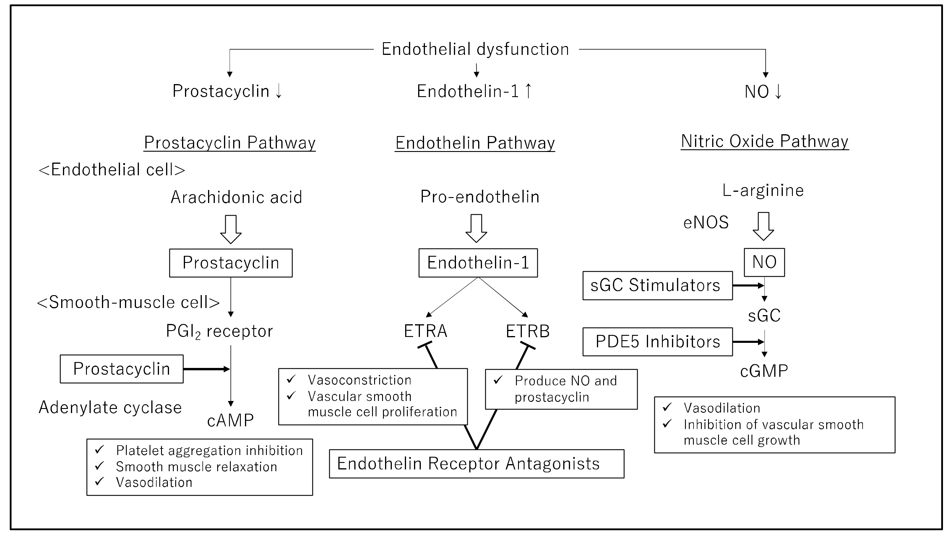 Pharmaceuticals 15 01277 g001