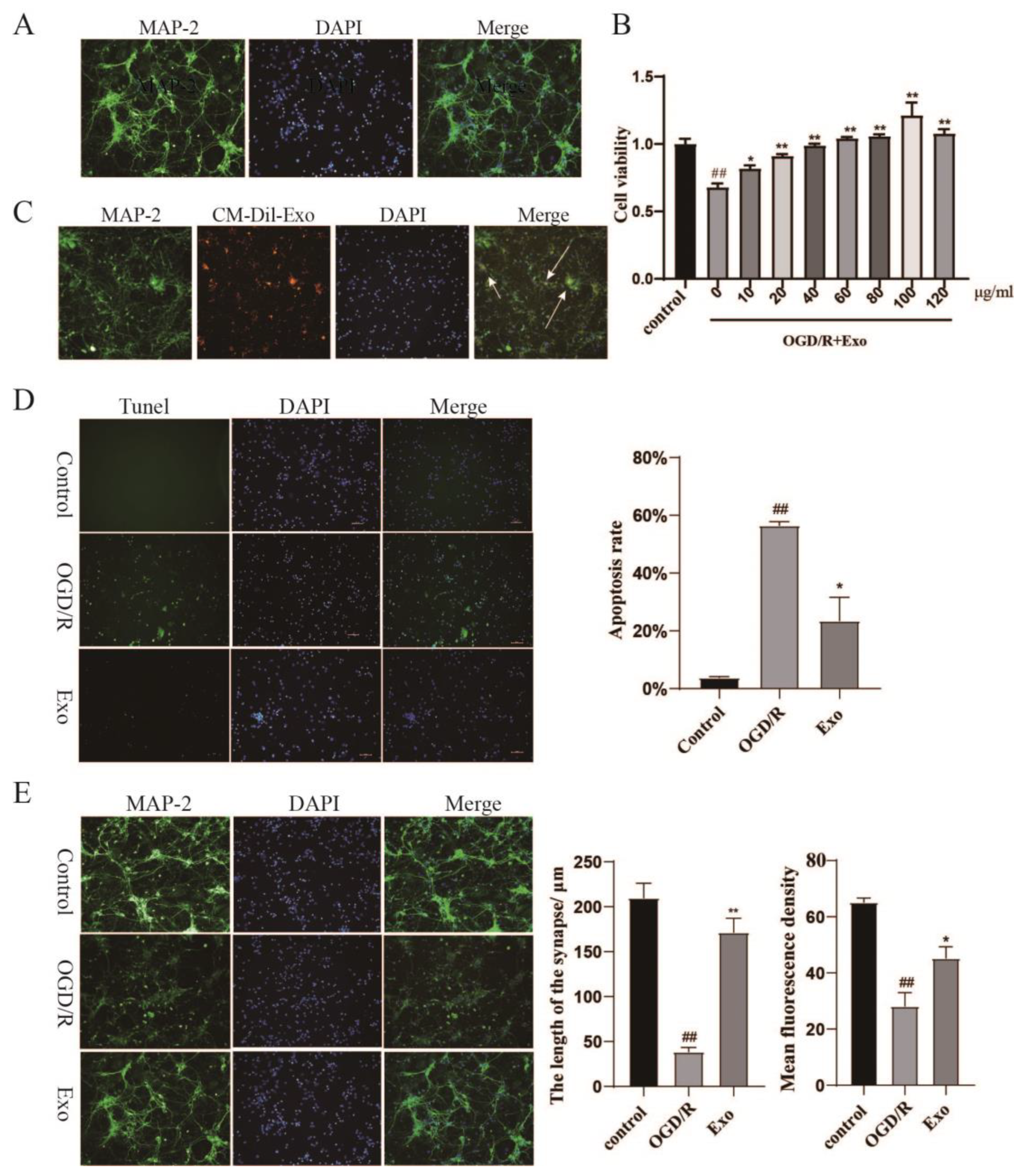 Pharmaceuticals 15 01287 g002 Pharmaceuticals 15 01287 g002