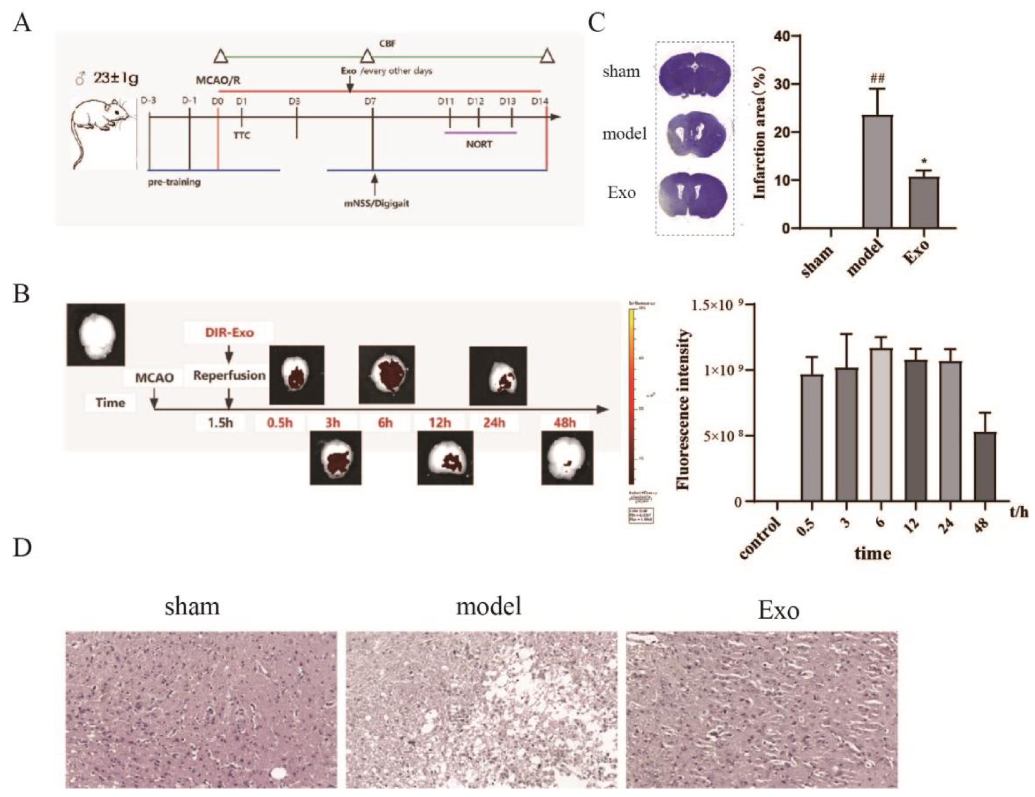 Pharmaceuticals 15 01287 g003 Pharmaceuticals 15 01287 g003