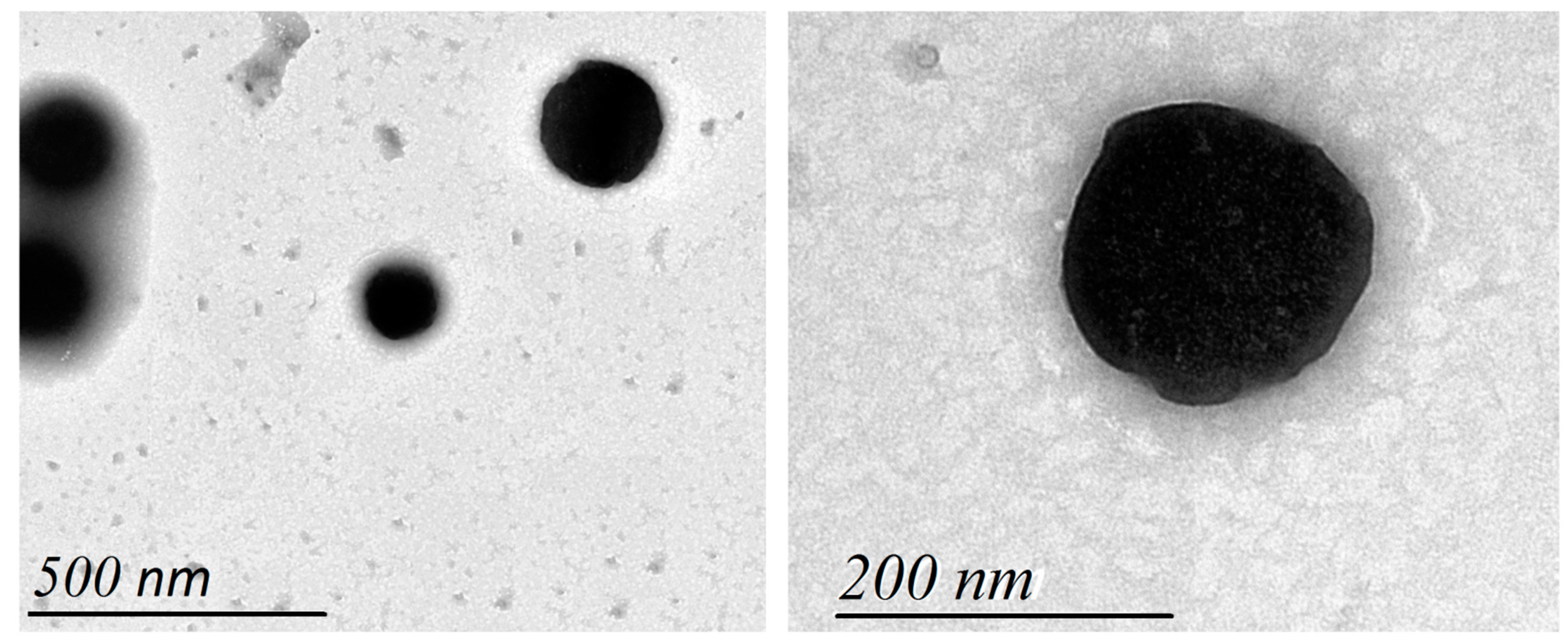 Pharmaceuticals 15 01306 g002