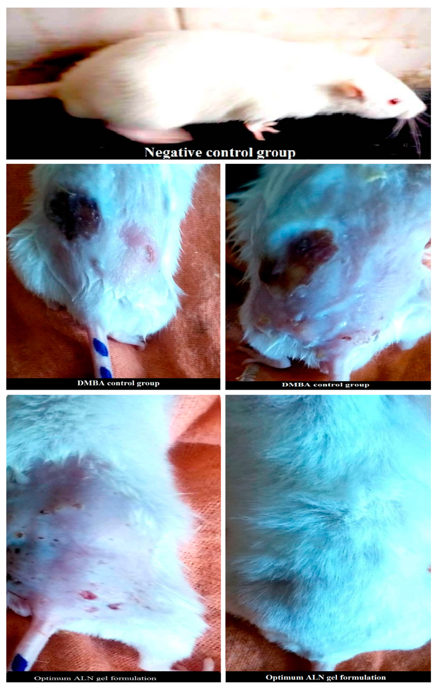 Pharmaceuticals 15 01306 g005