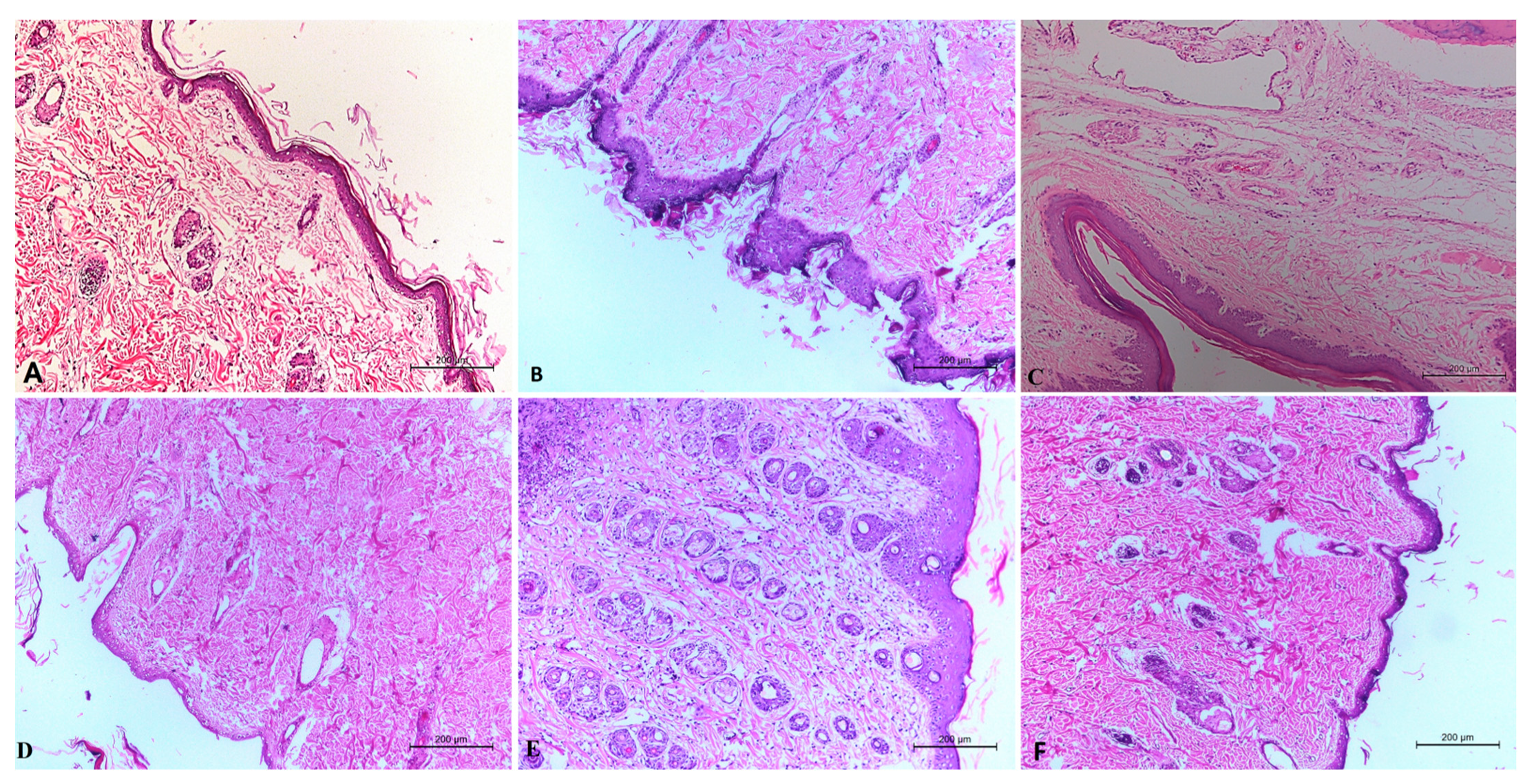 Pharmaceuticals 15 01306 g007