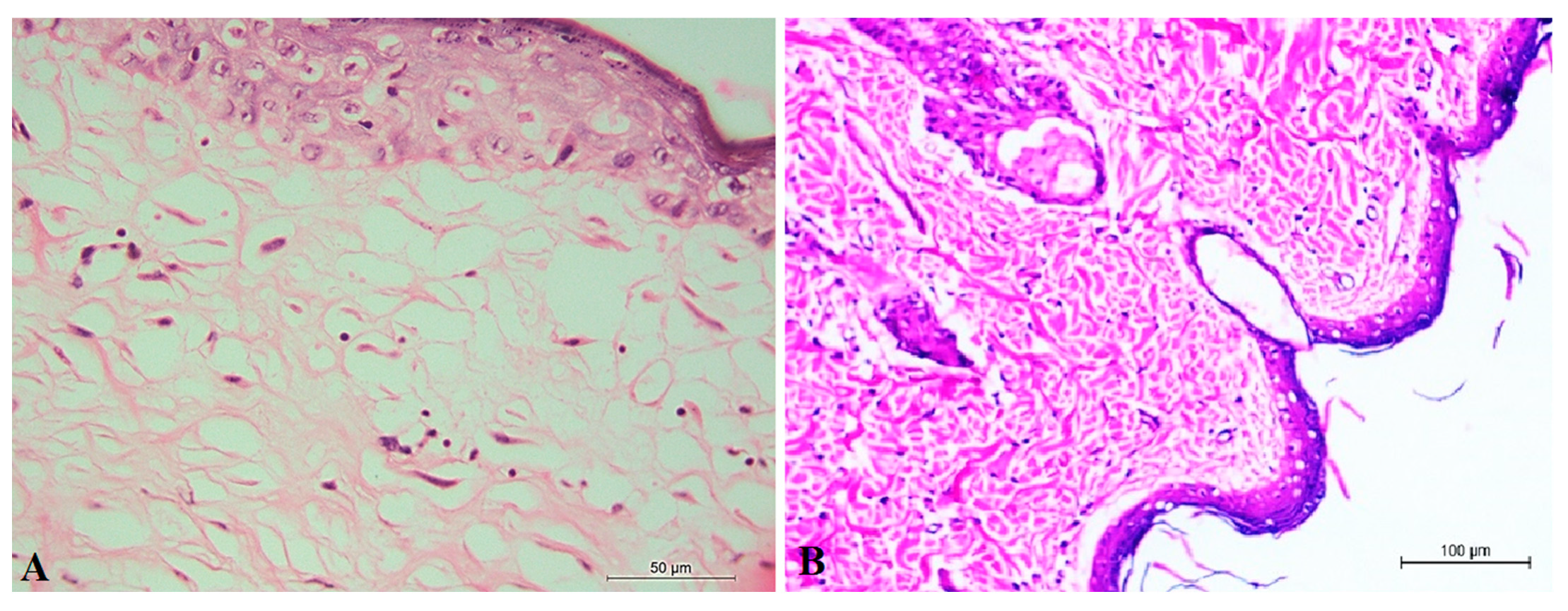 Pharmaceuticals 15 01306 g008