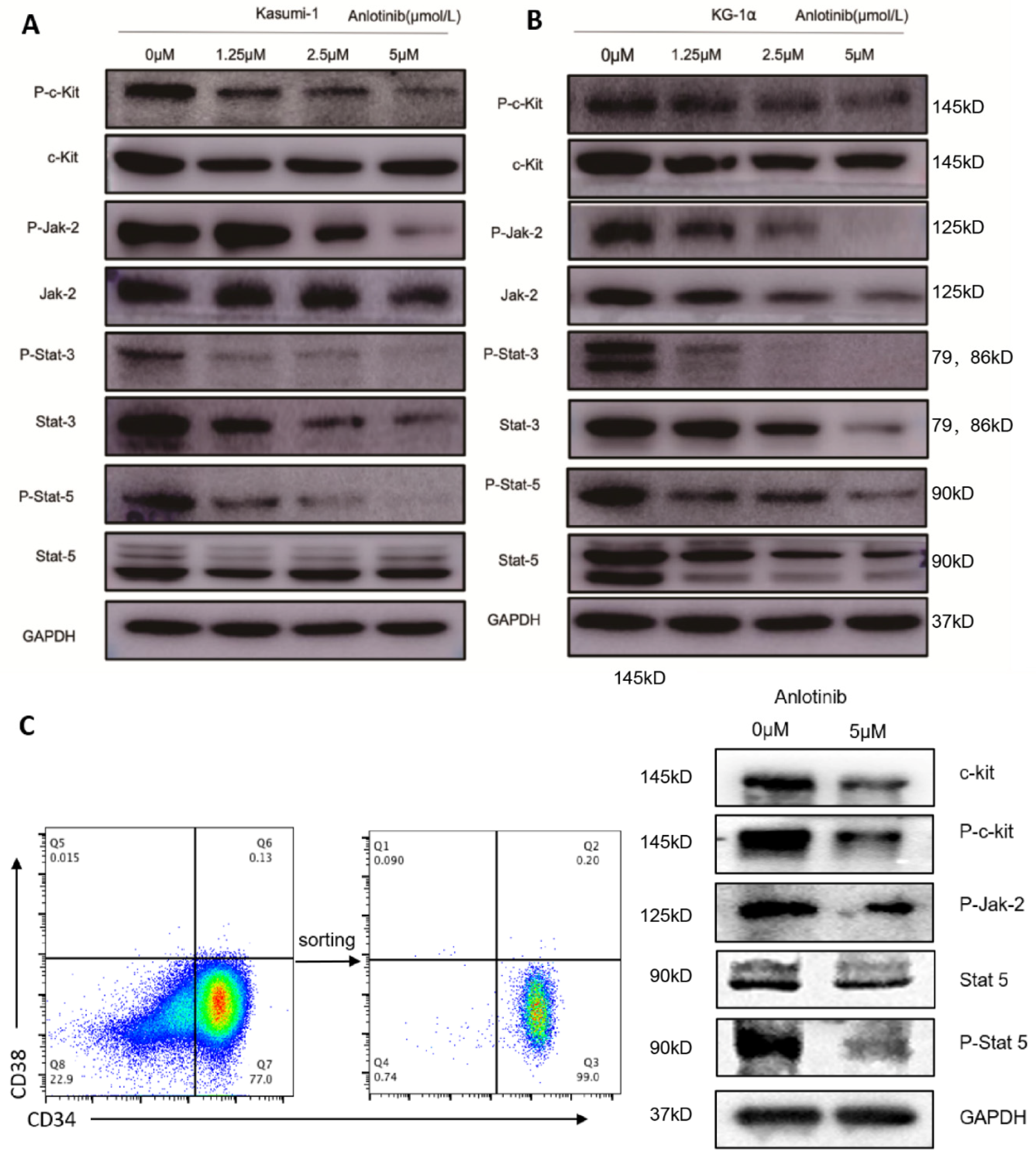 Pharmaceuticals 15 01313 g004