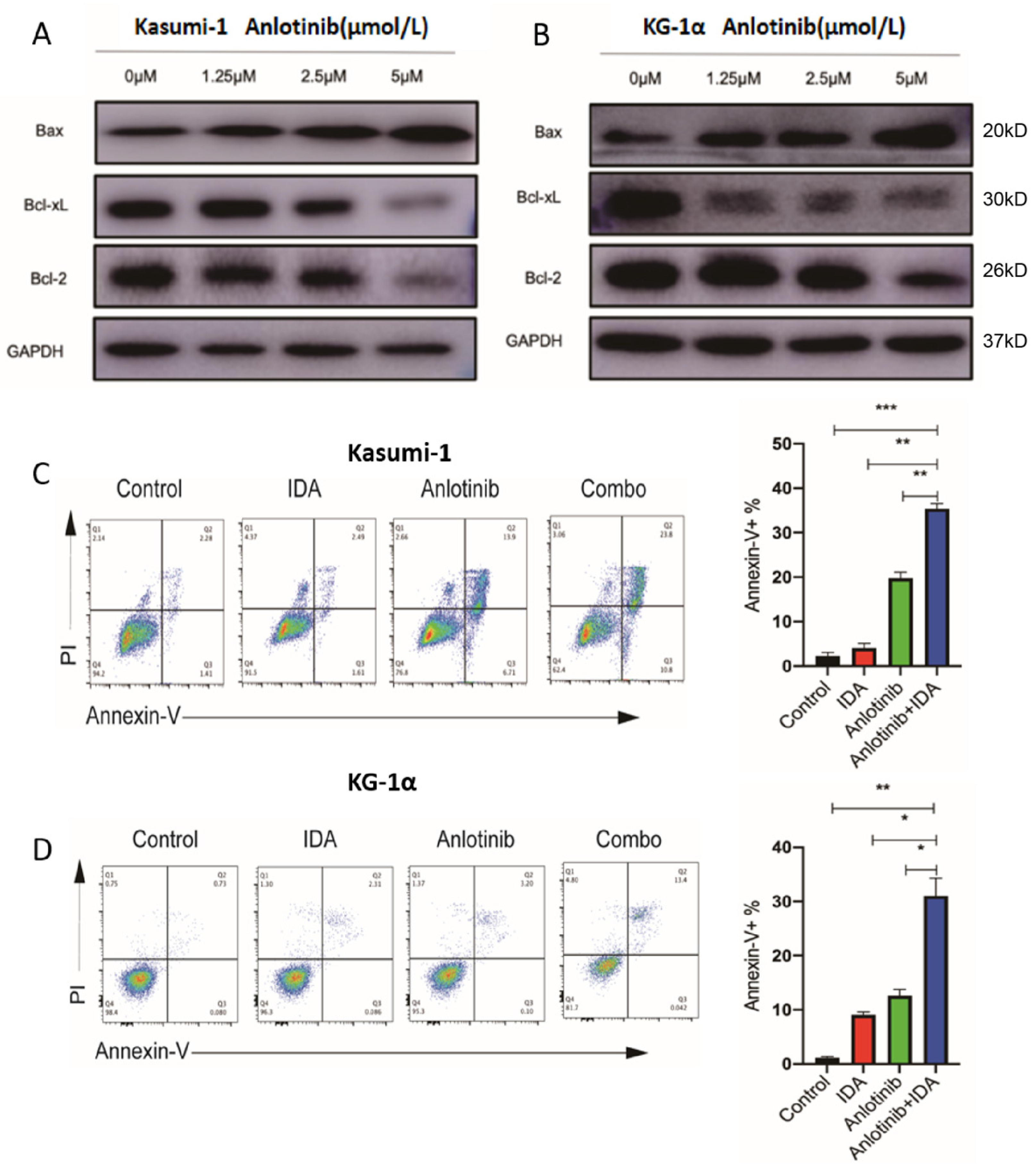 Pharmaceuticals 15 01313 g005