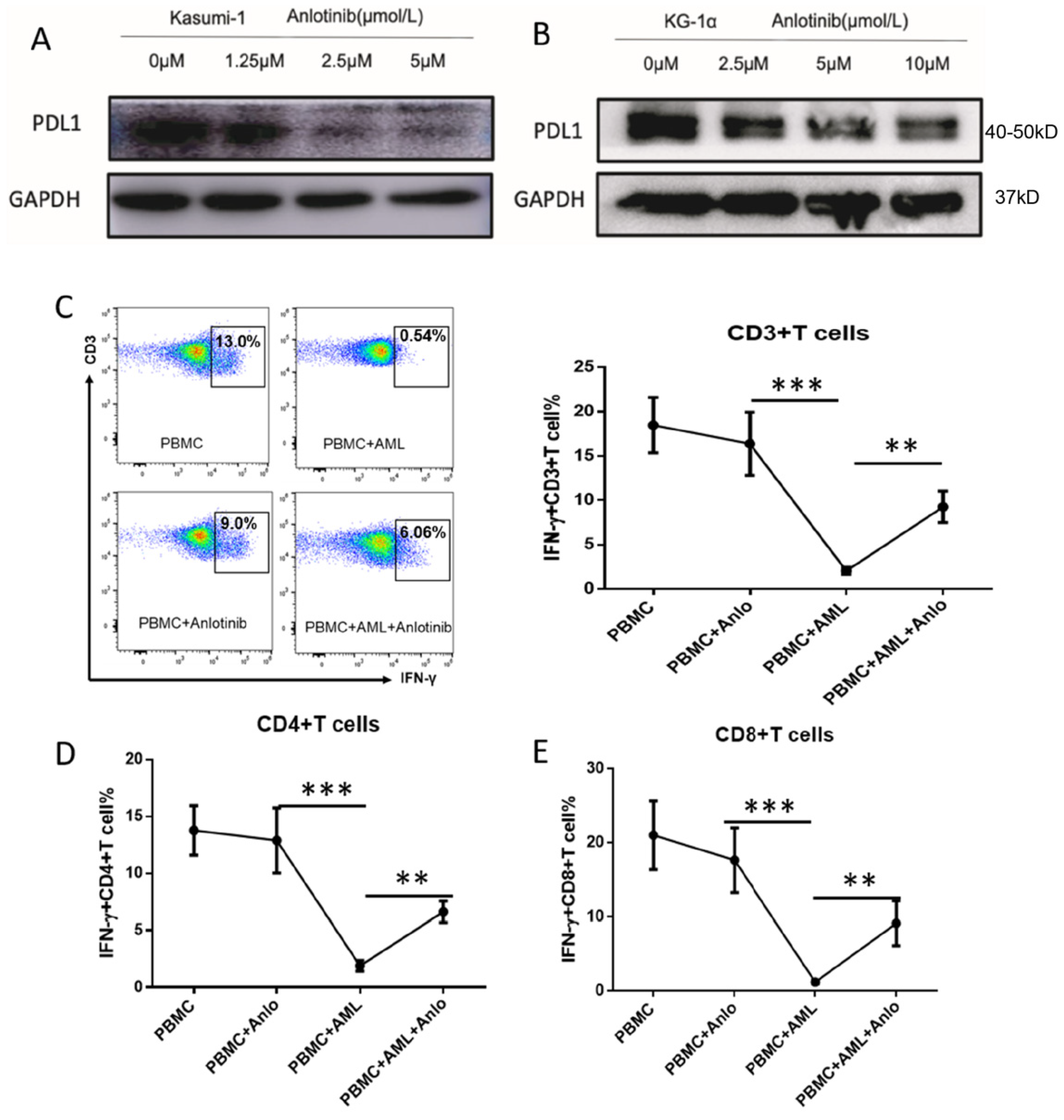 Pharmaceuticals 15 01313 g006