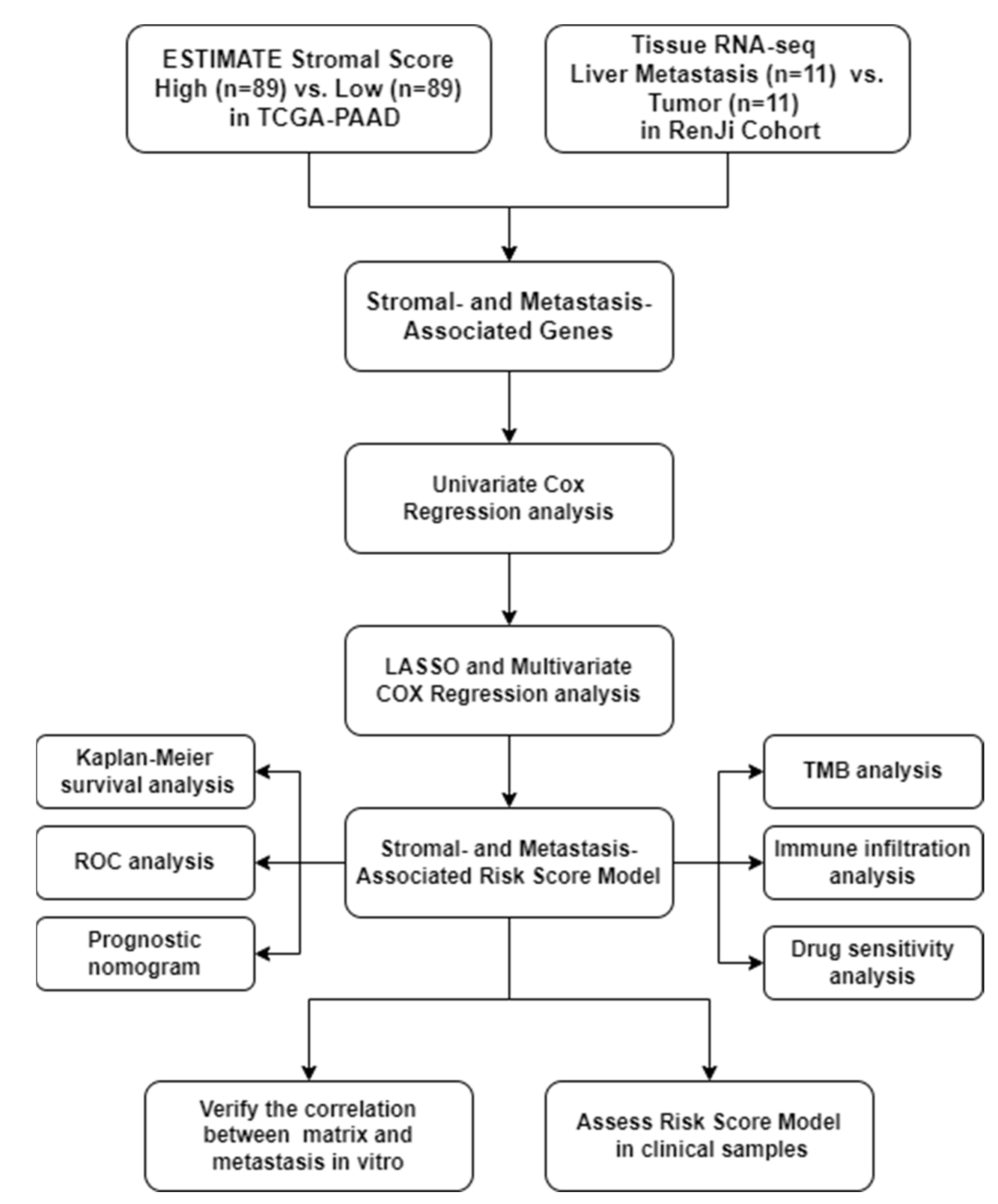 Pharmaceuticals 15 01336 g001