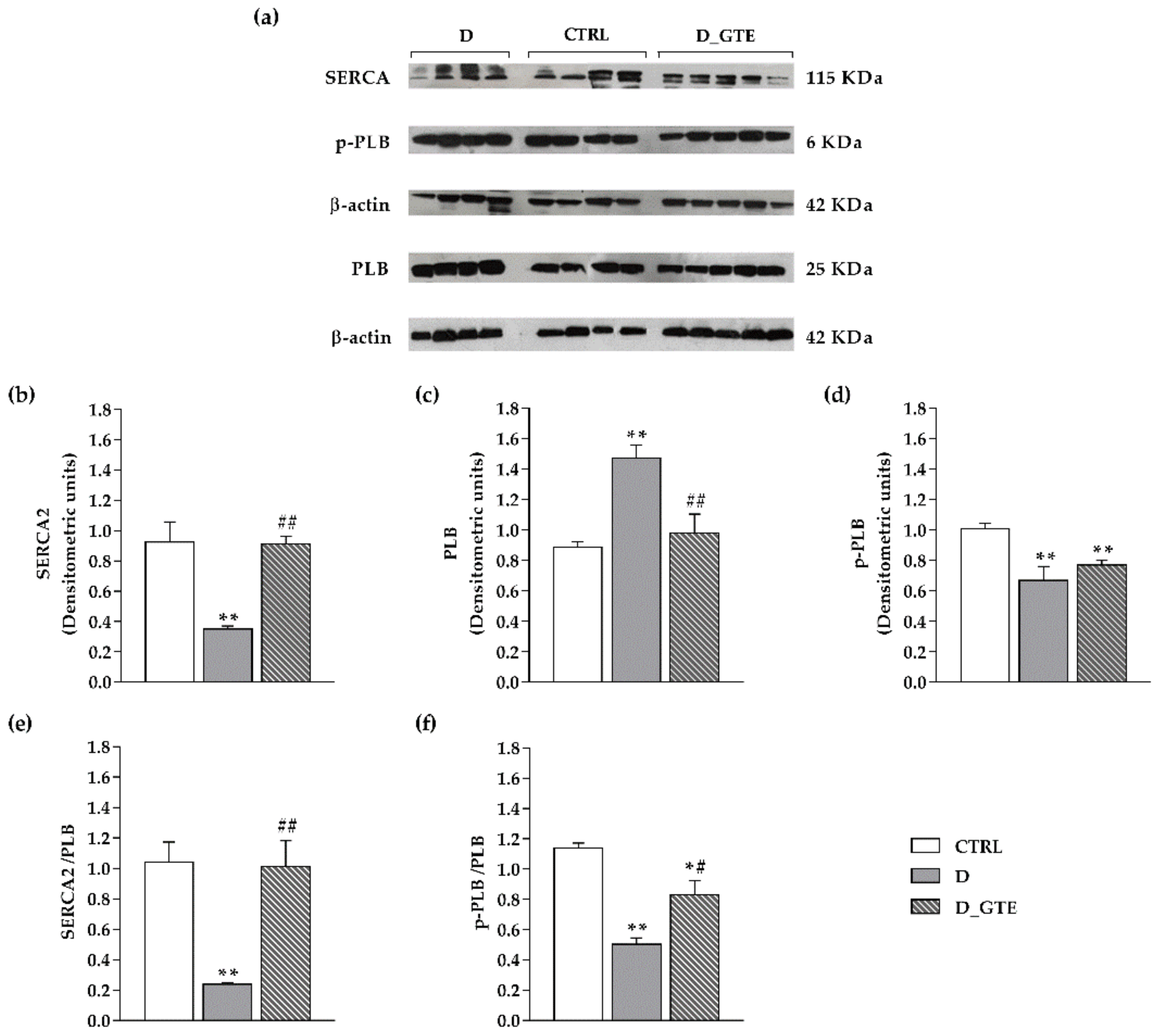 Pharmaceuticals 15 01337 g005