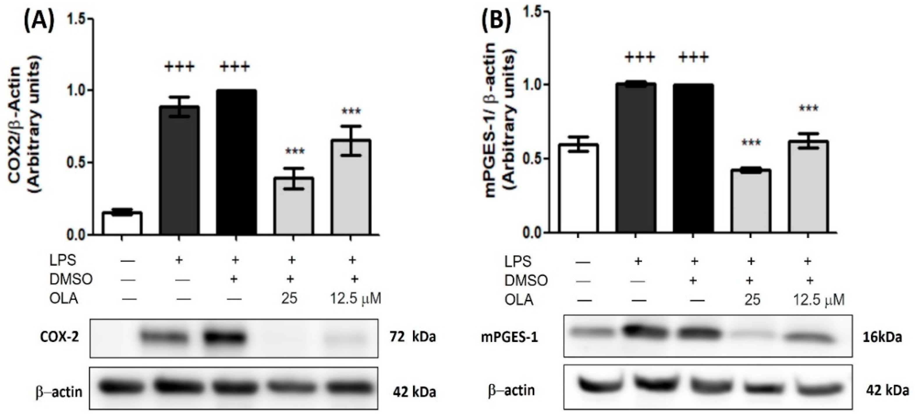 Pharmaceuticals 15 01338 g004