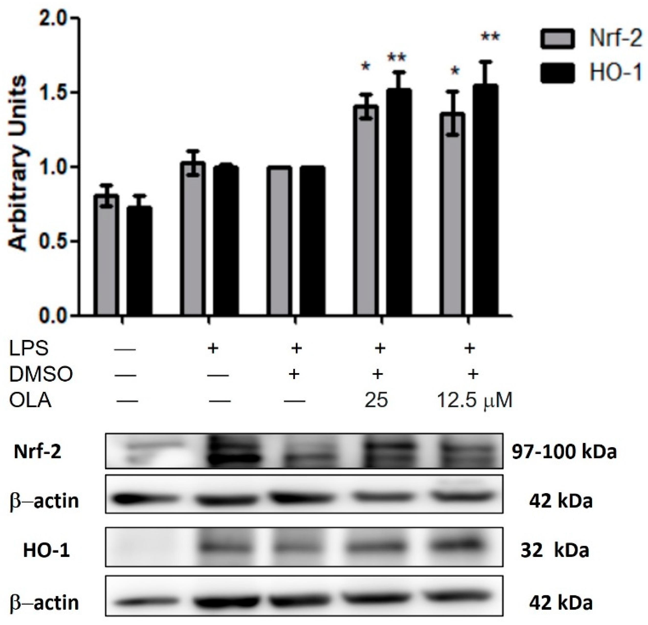 Pharmaceuticals 15 01338 g005
