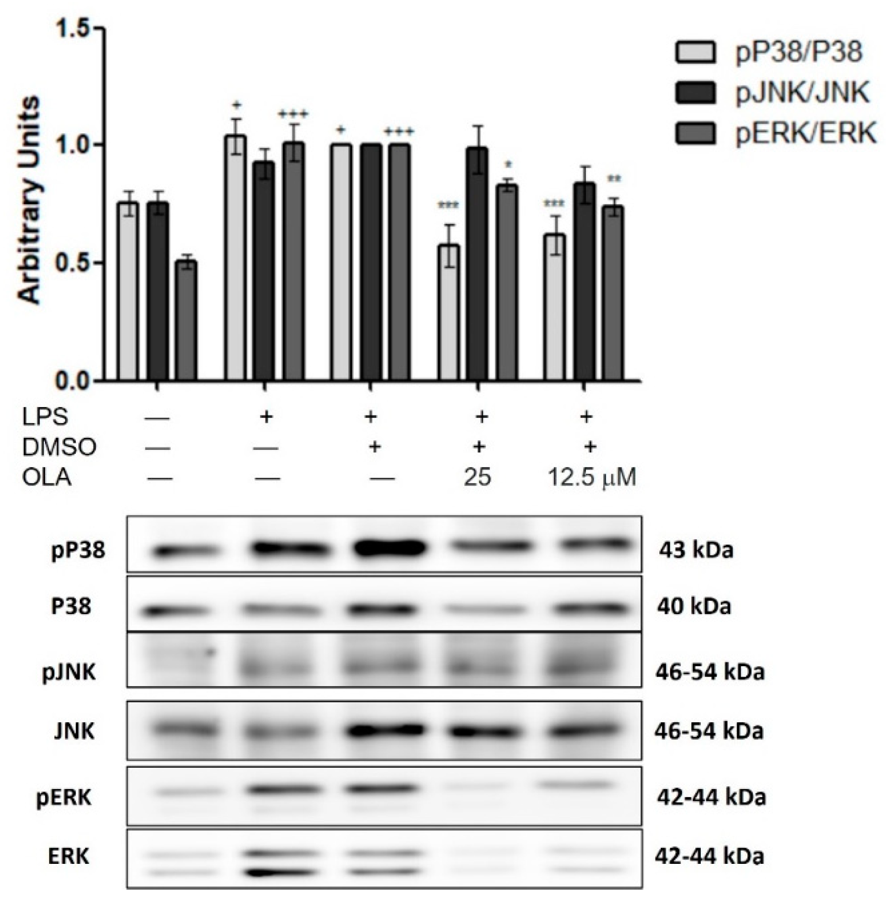 Pharmaceuticals 15 01338 g006