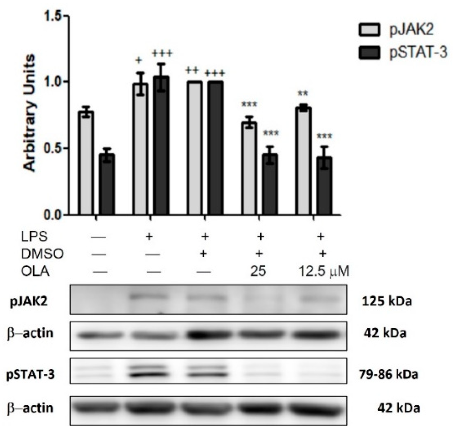 Pharmaceuticals 15 01338 g007