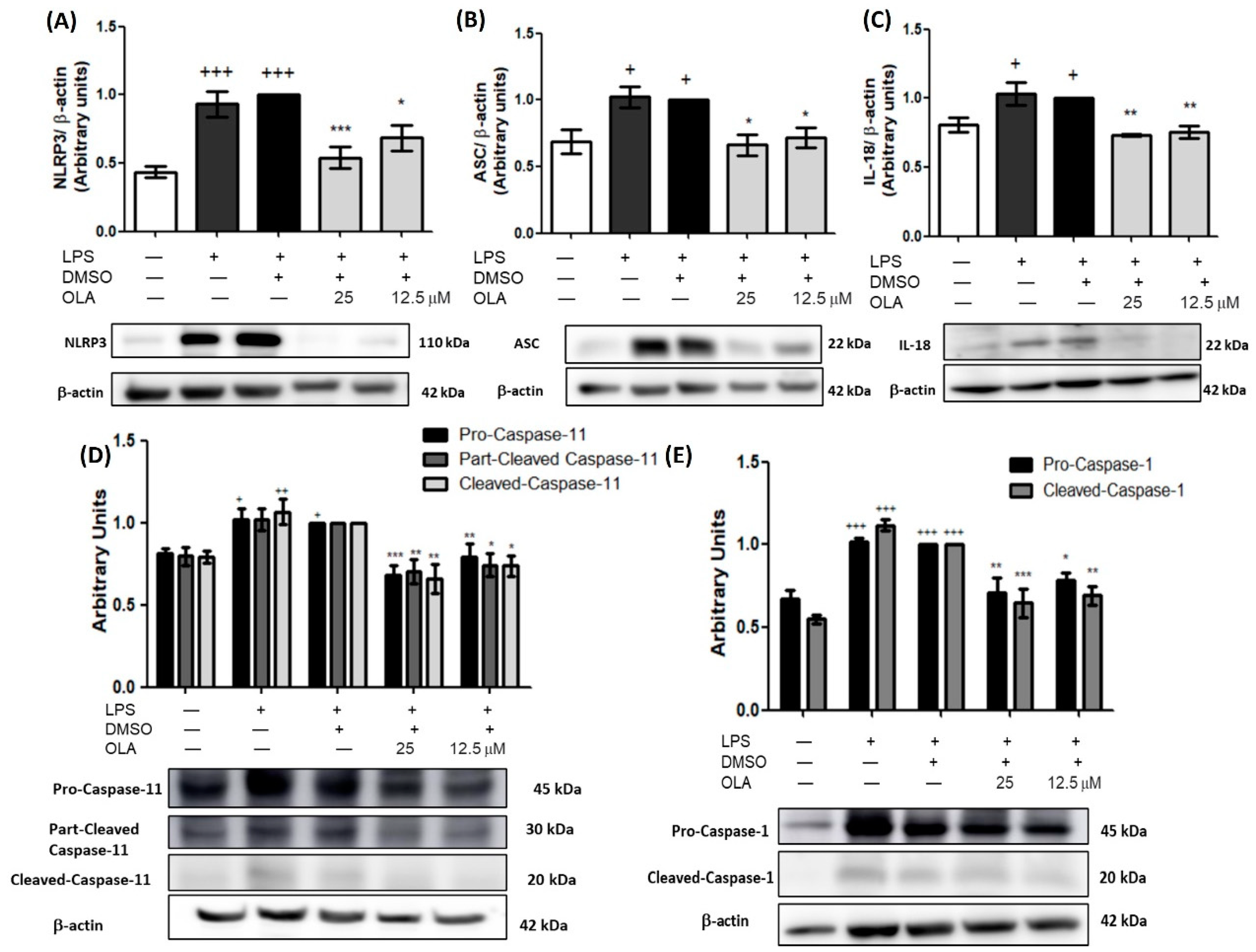 Pharmaceuticals 15 01338 g008