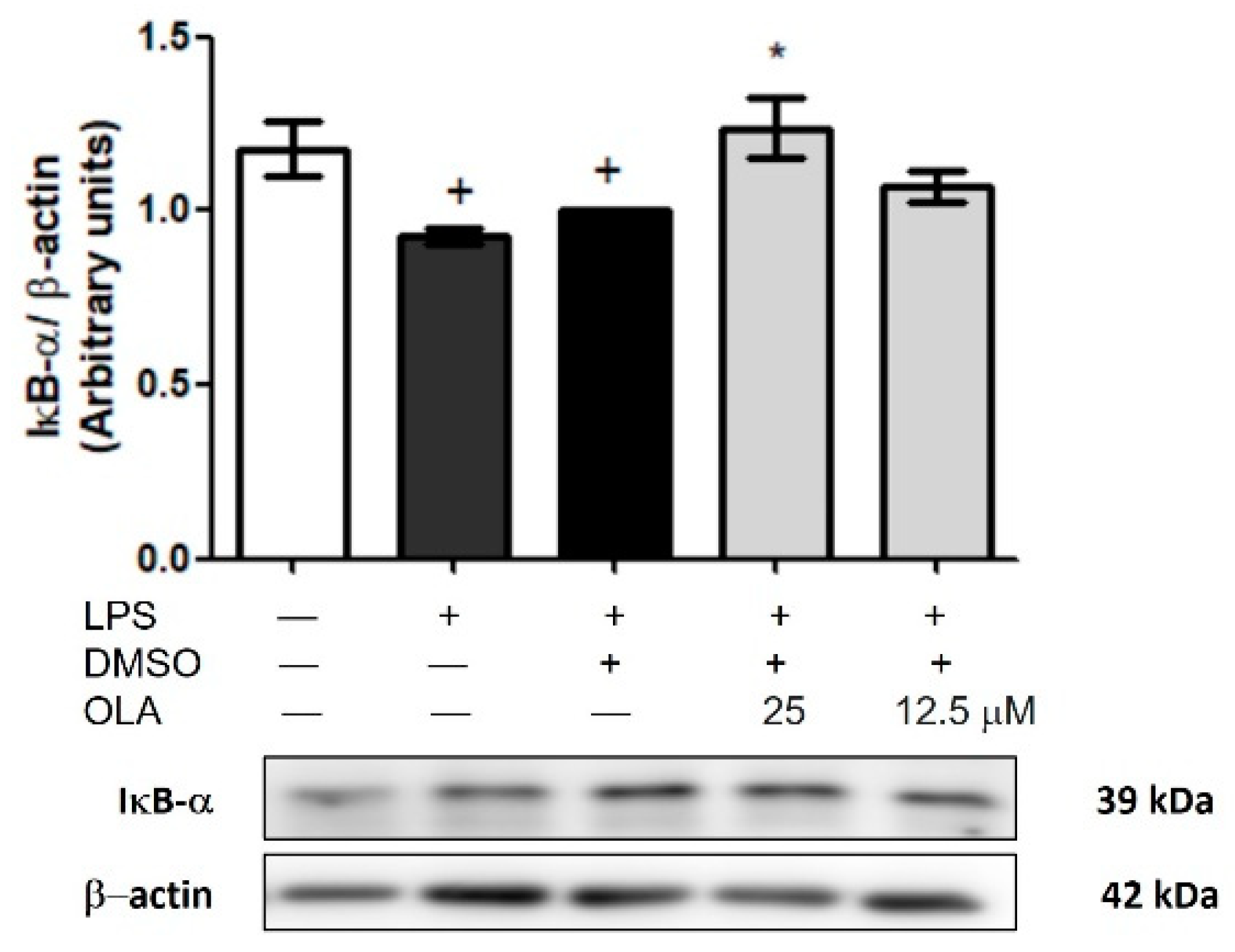 Pharmaceuticals 15 01338 g009